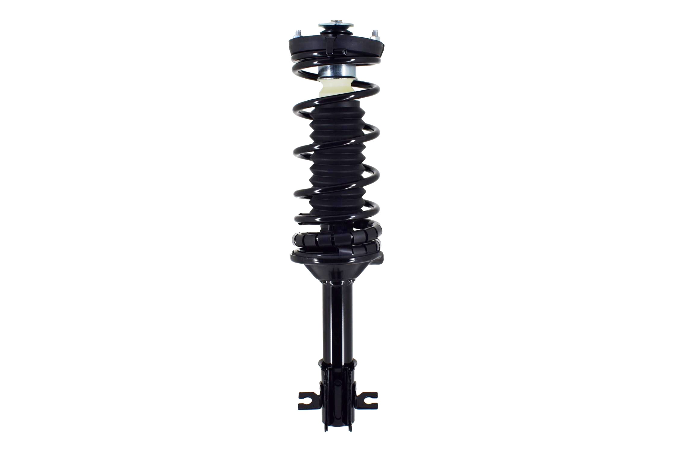 Suspension Strut and Coil Spring Assembly