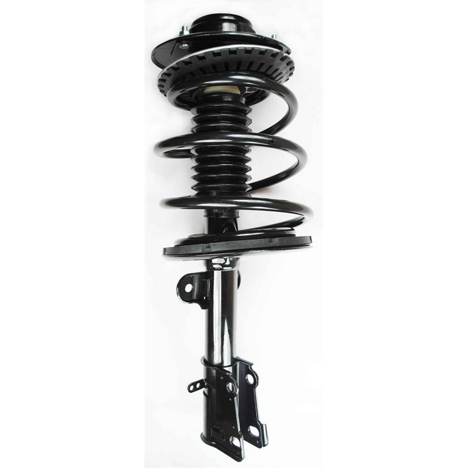 Suspension Strut and Coil Spring Assembly