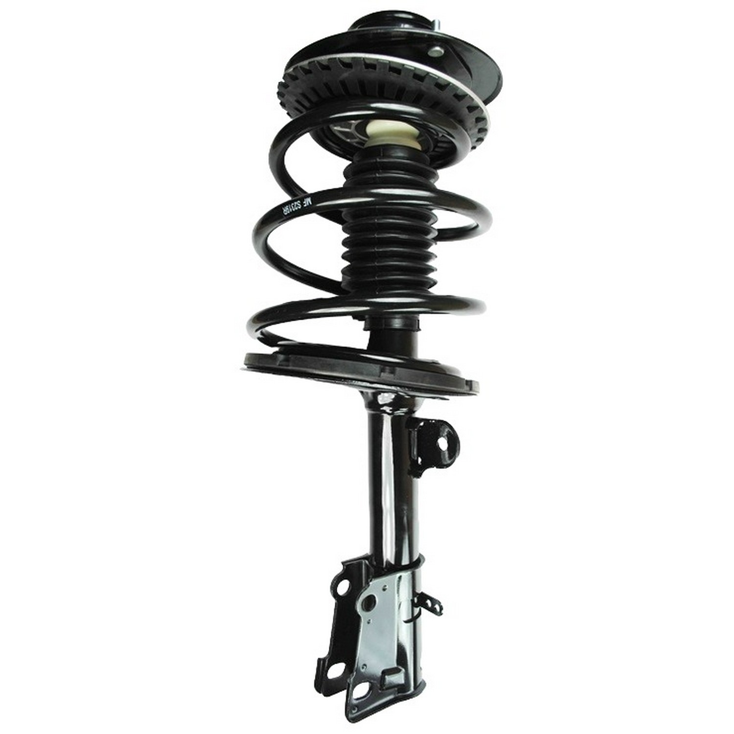 Suspension Strut and Coil Spring Assembly