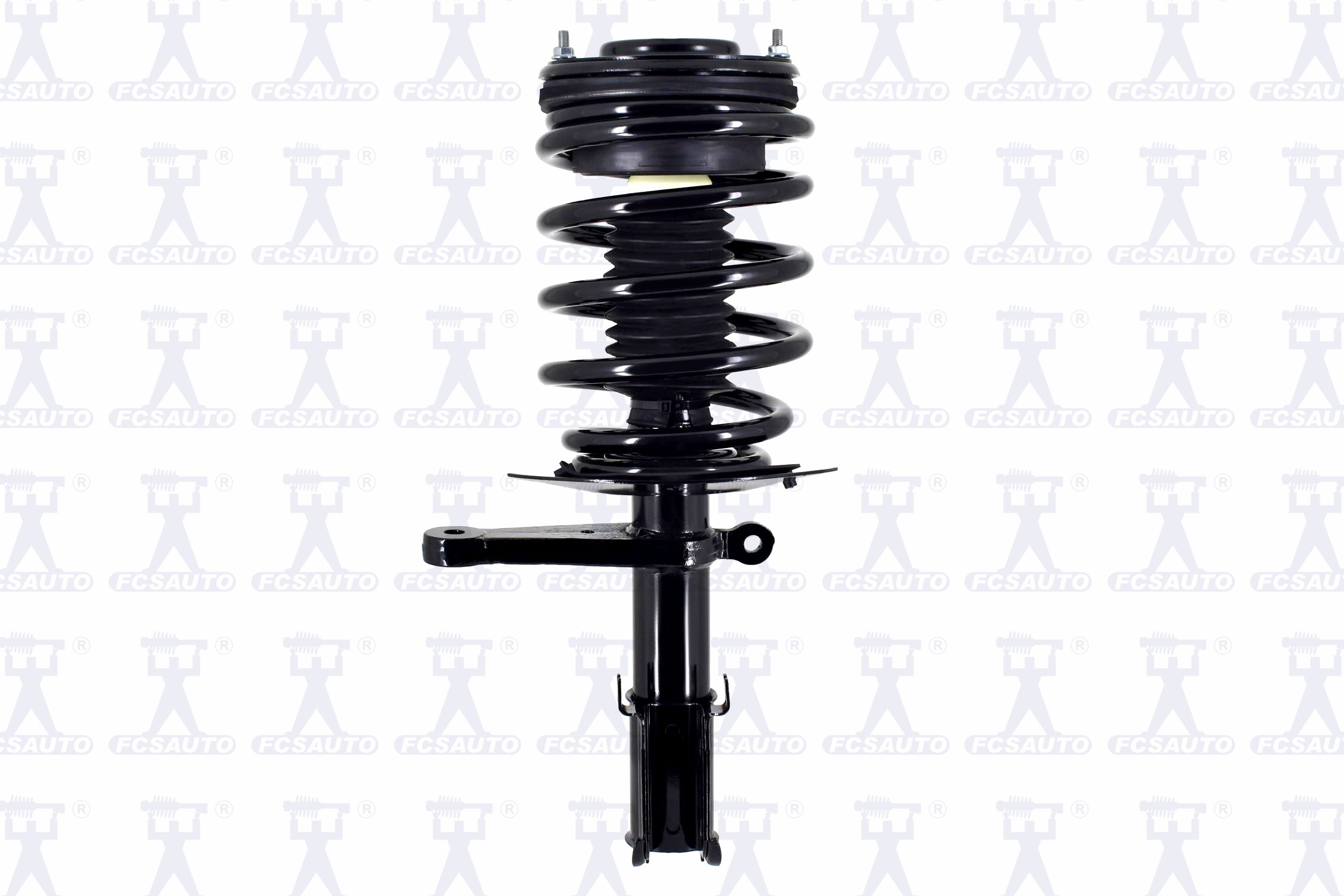 Suspension Strut and Coil Spring Assembly