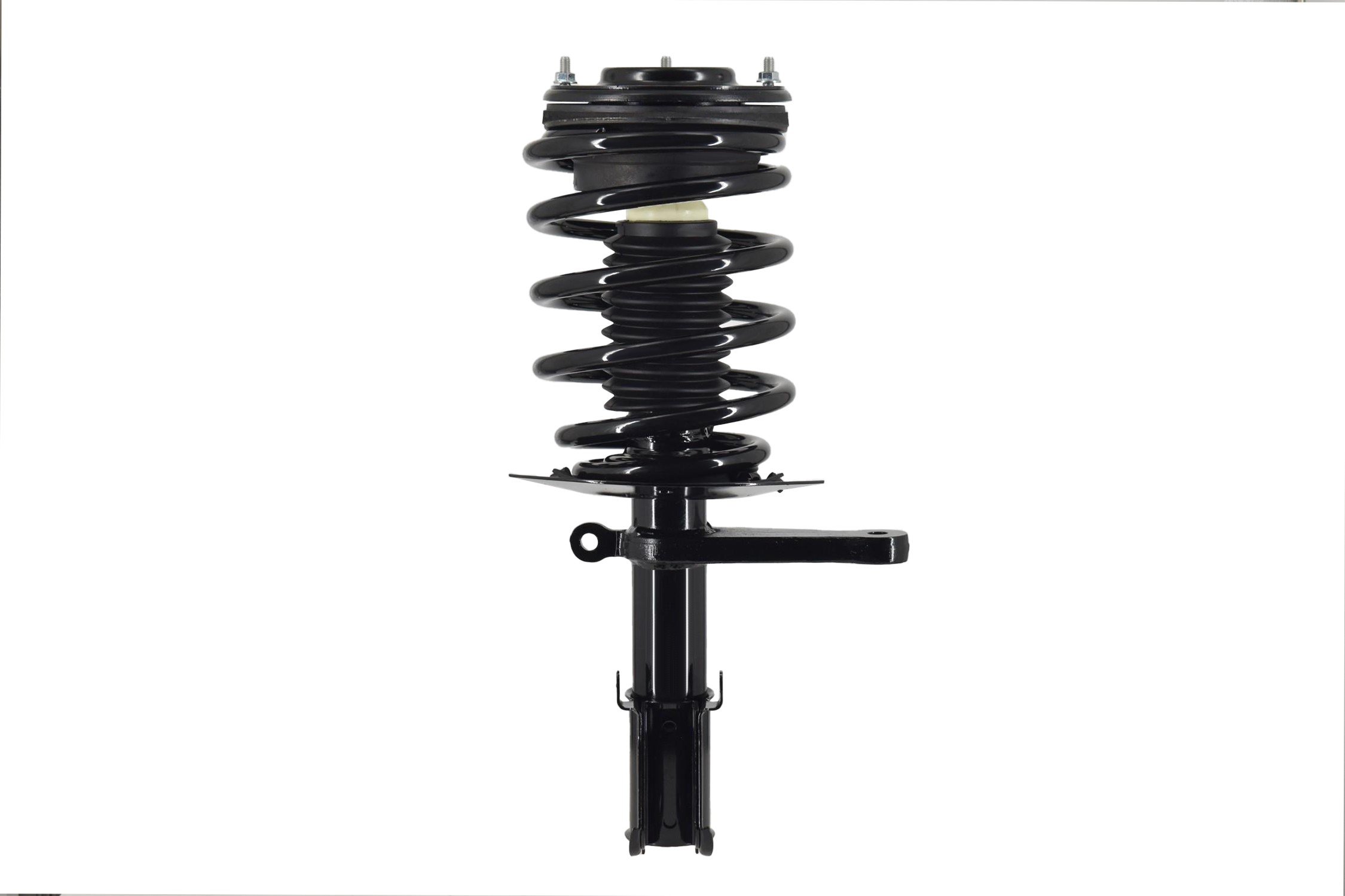 Suspension Strut and Coil Spring Assembly