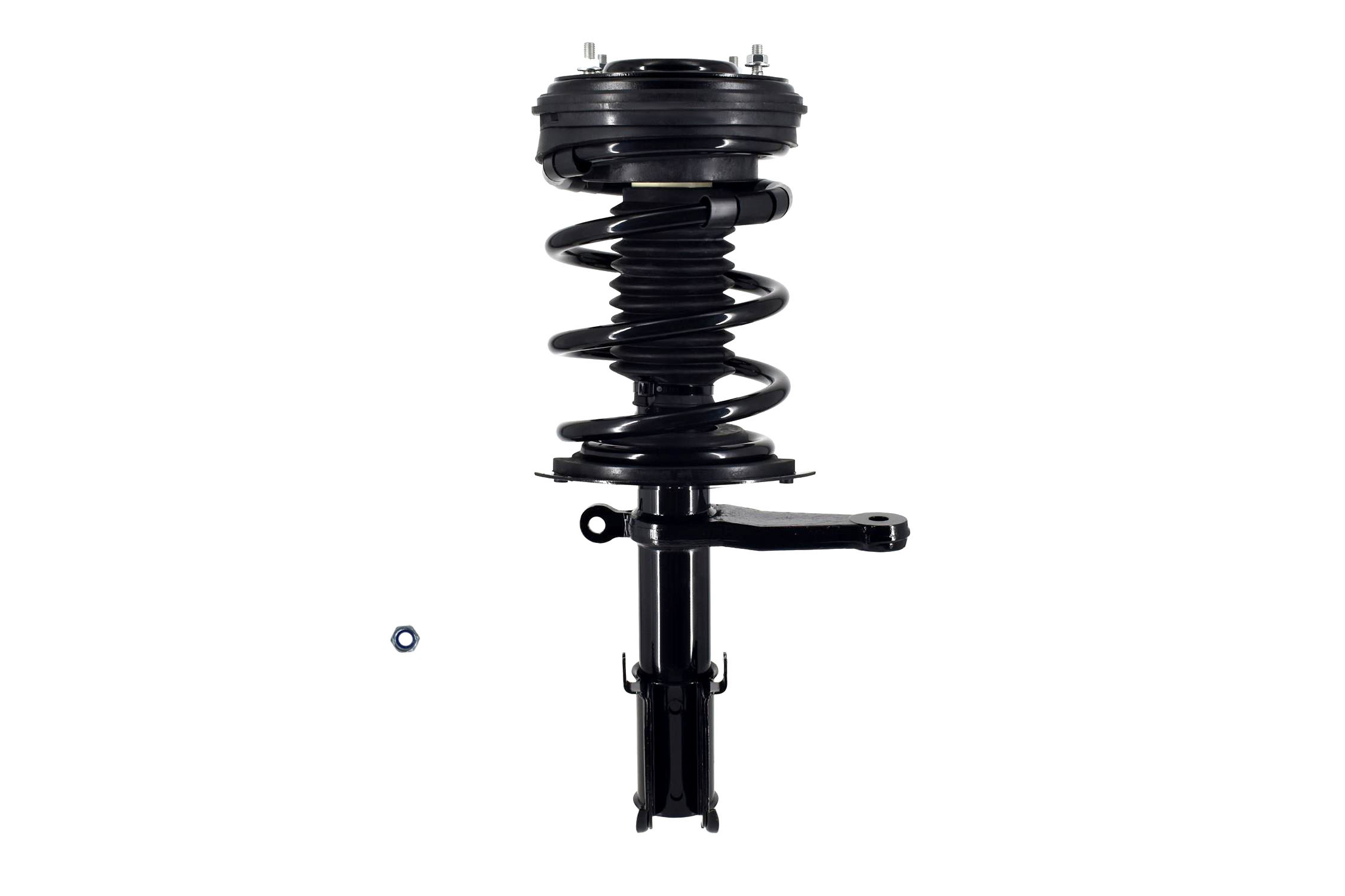 Suspension Strut and Coil Spring Assembly