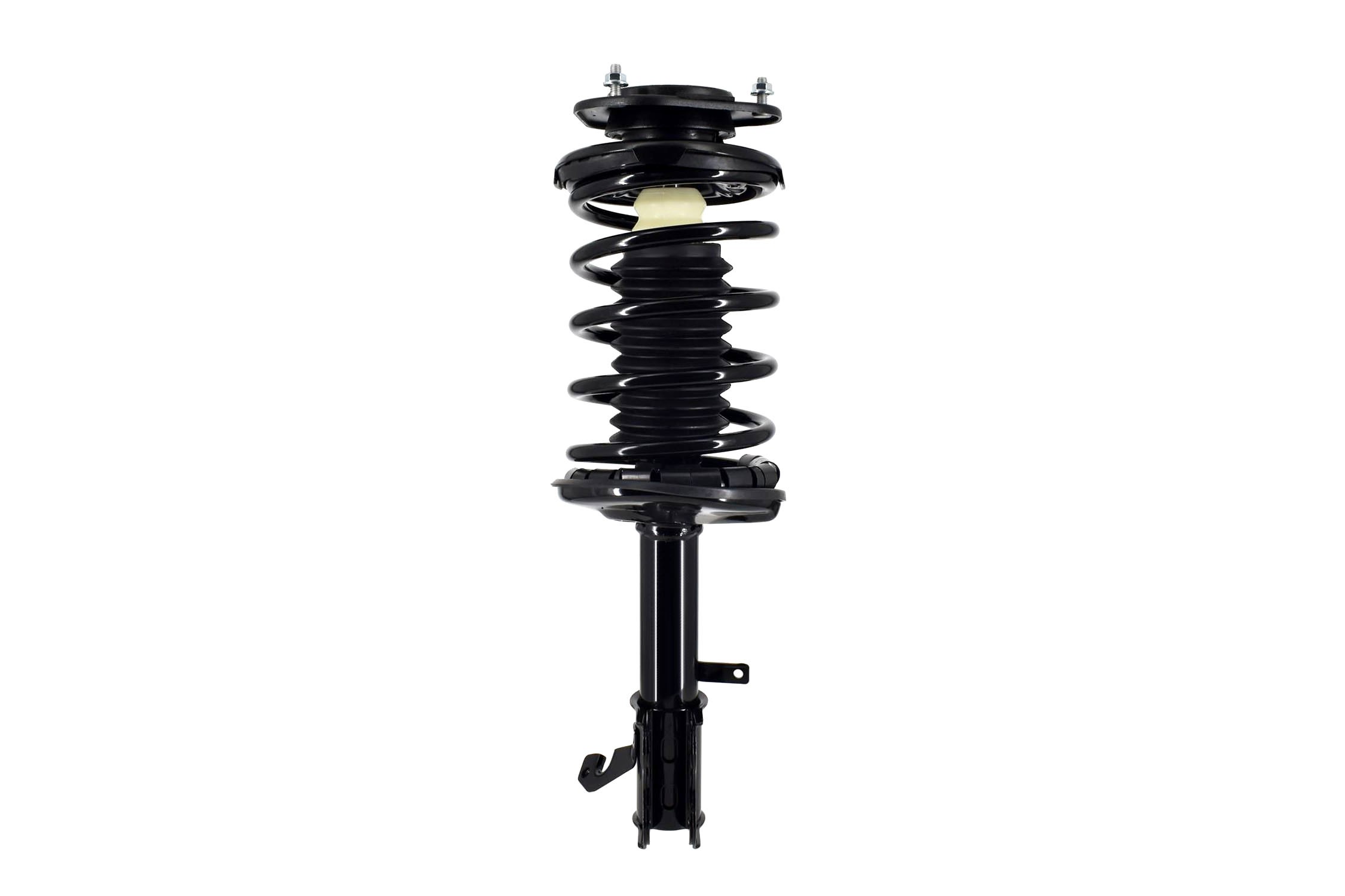 Suspension Strut and Coil Spring Assembly