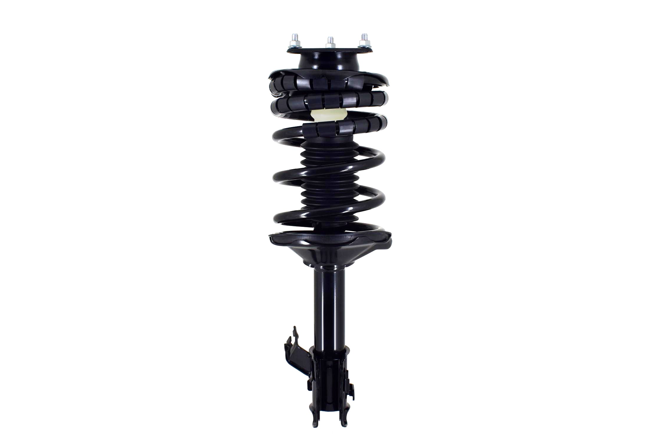 Suspension Strut and Coil Spring Assembly