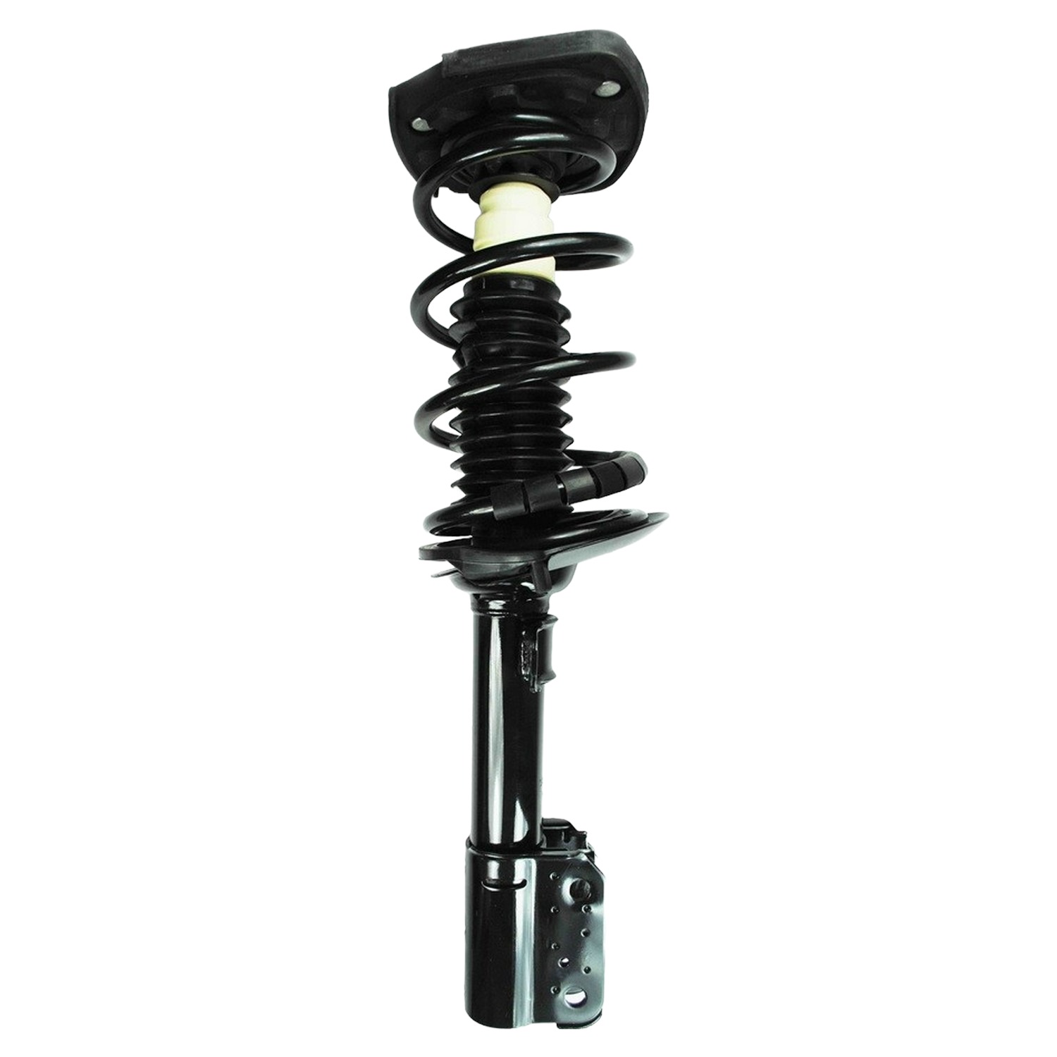 Suspension Strut and Coil Spring Assembly