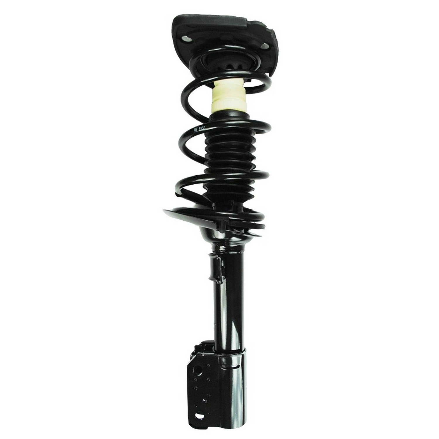 Suspension Strut and Coil Spring Assembly
