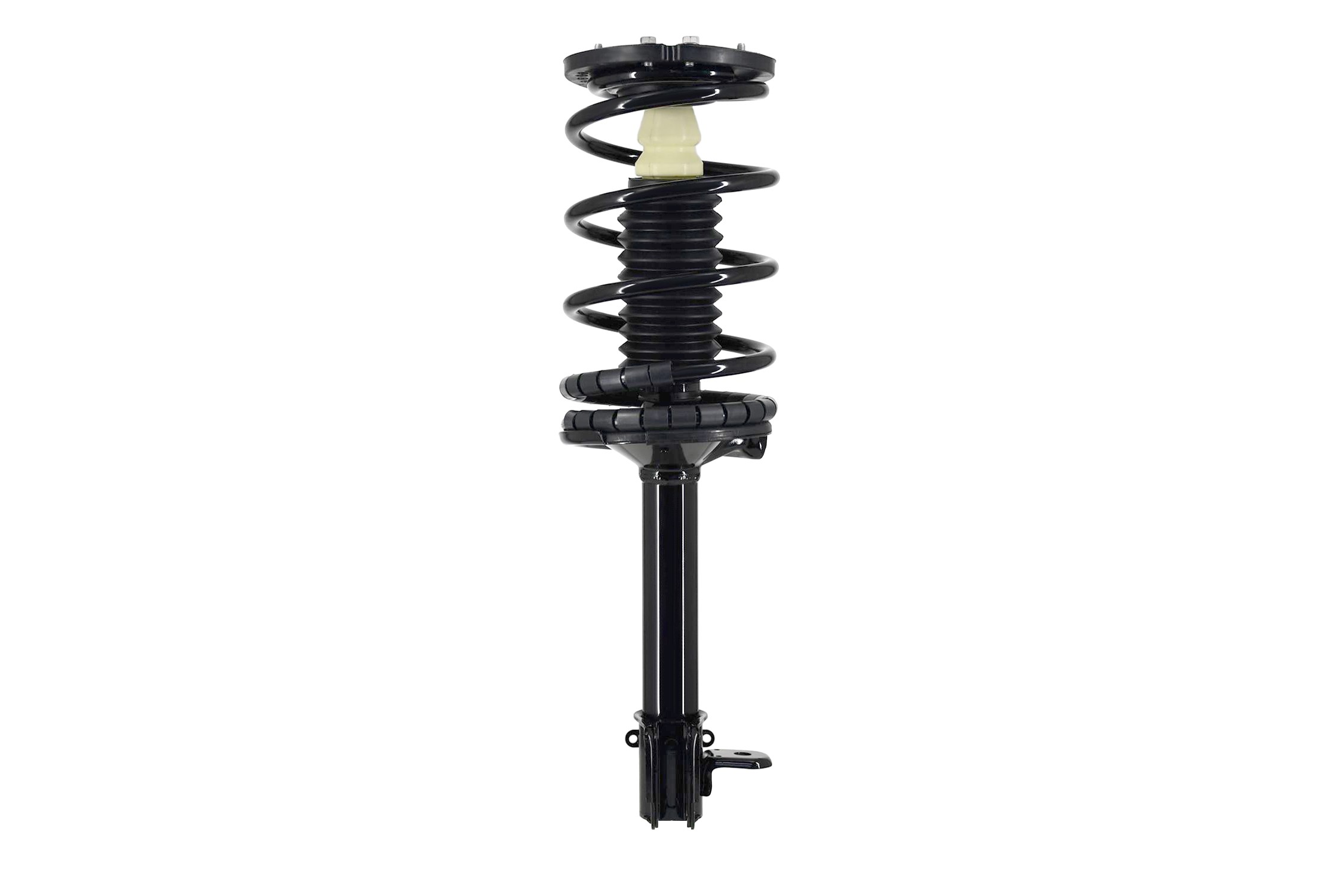 Suspension Strut and Coil Spring Assembly