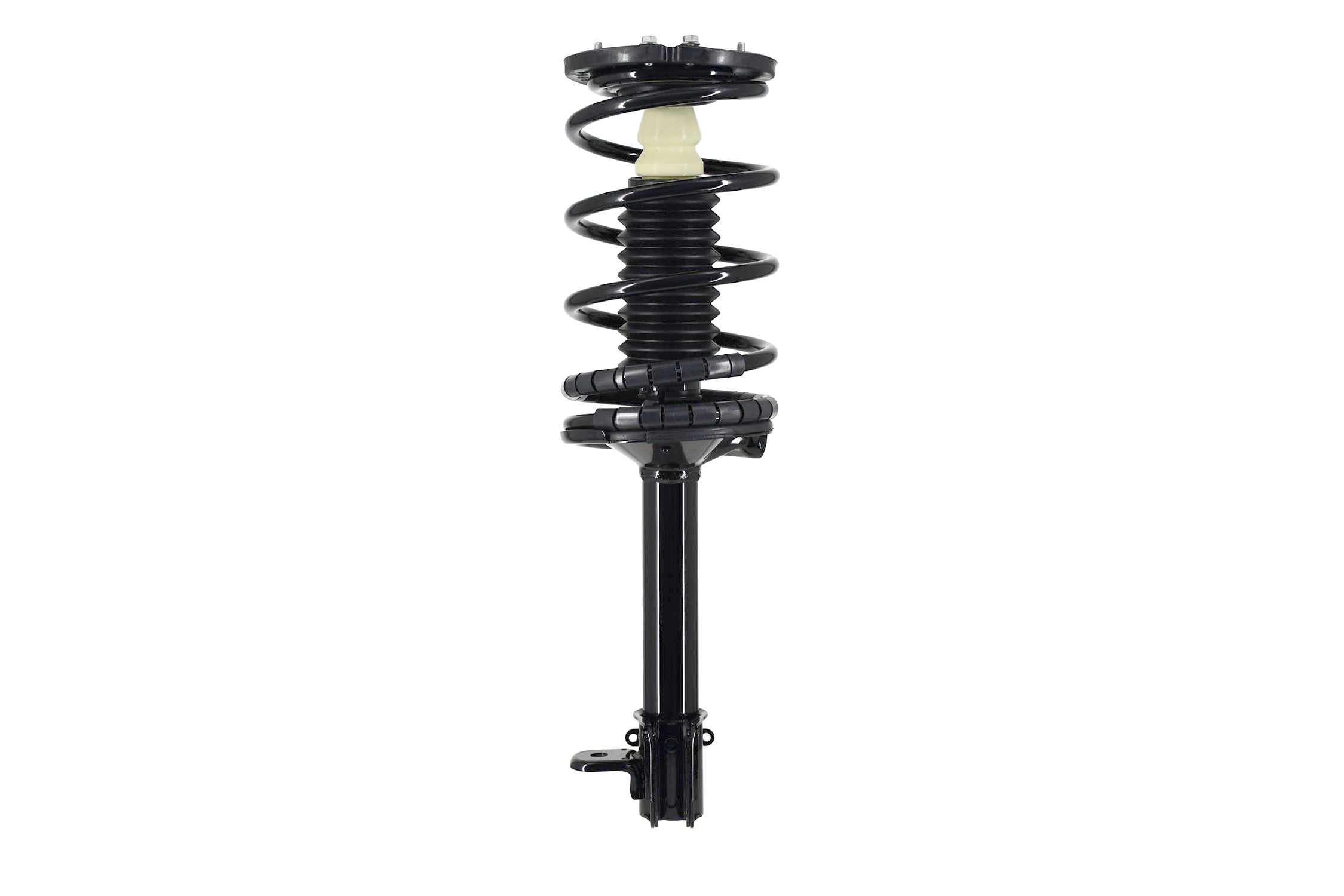 Suspension Strut and Coil Spring Assembly