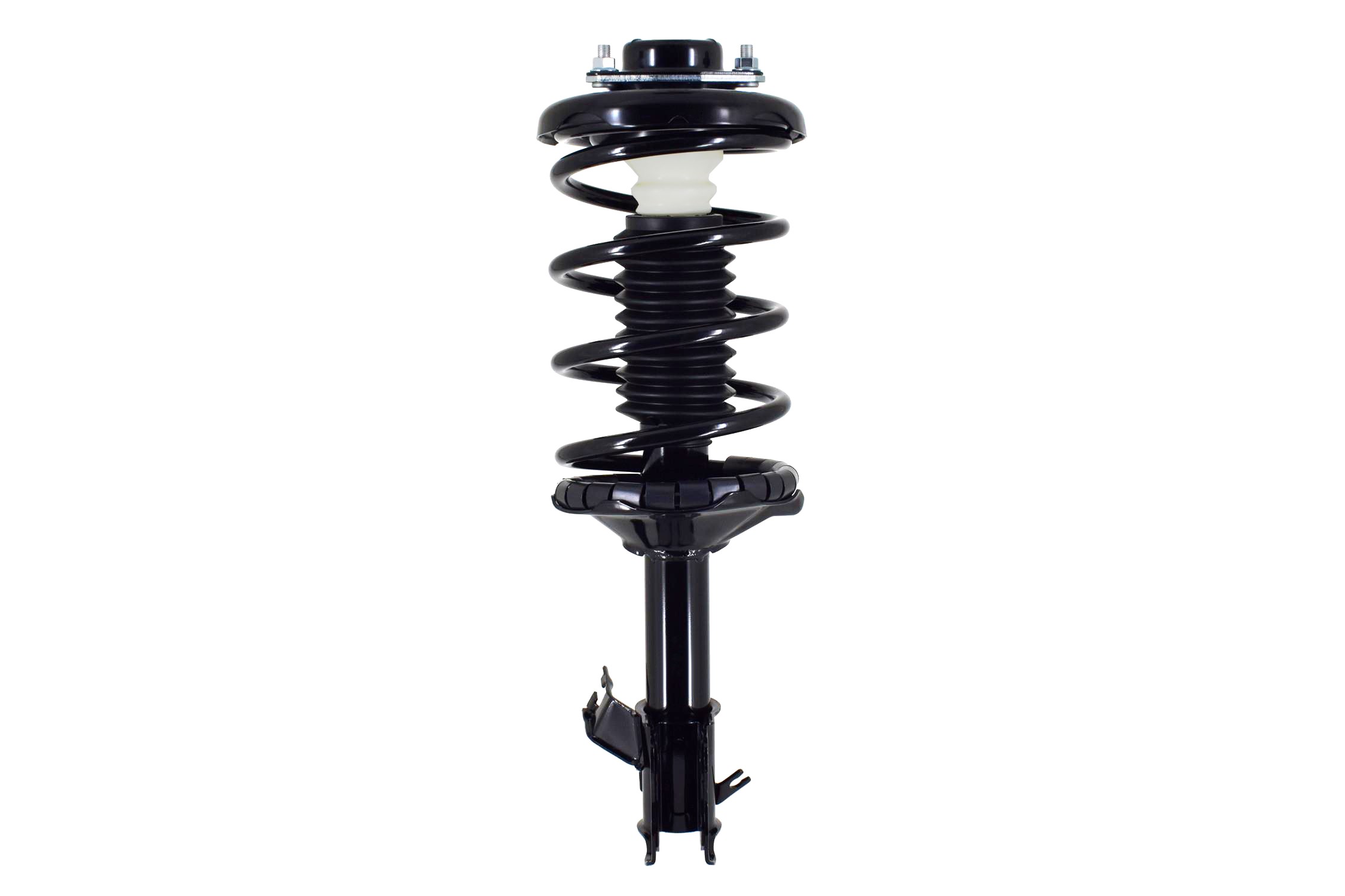 Suspension Strut and Coil Spring Assembly
