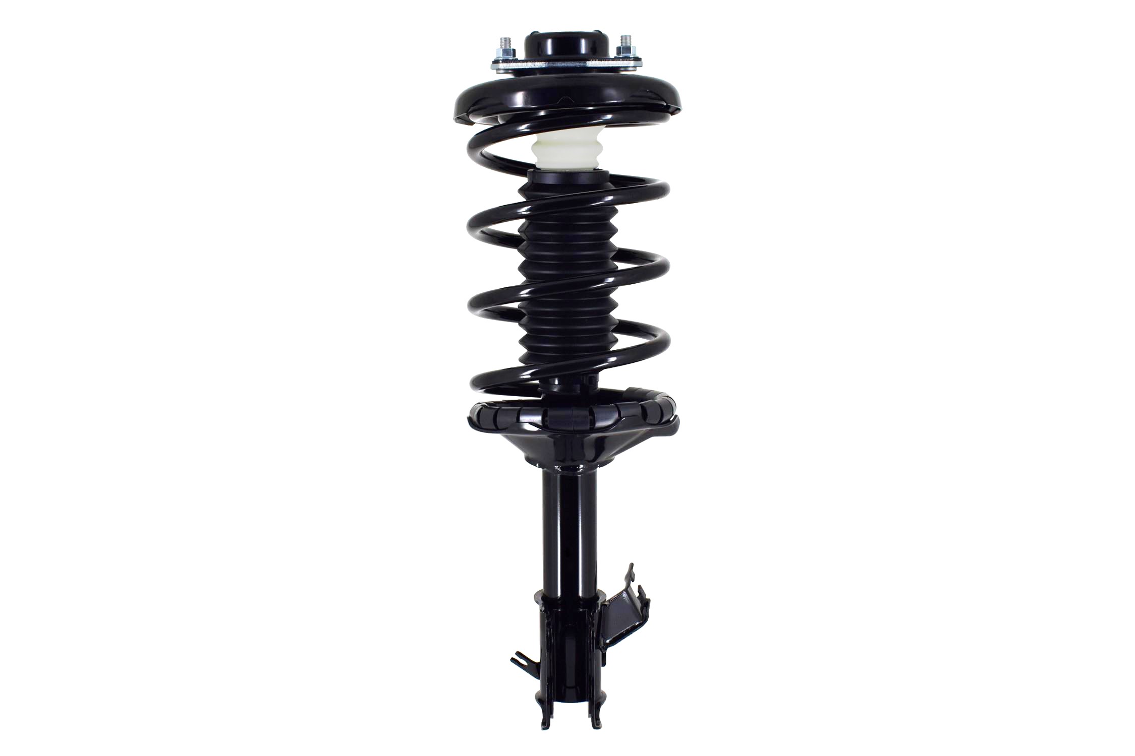 Suspension Strut and Coil Spring Assembly