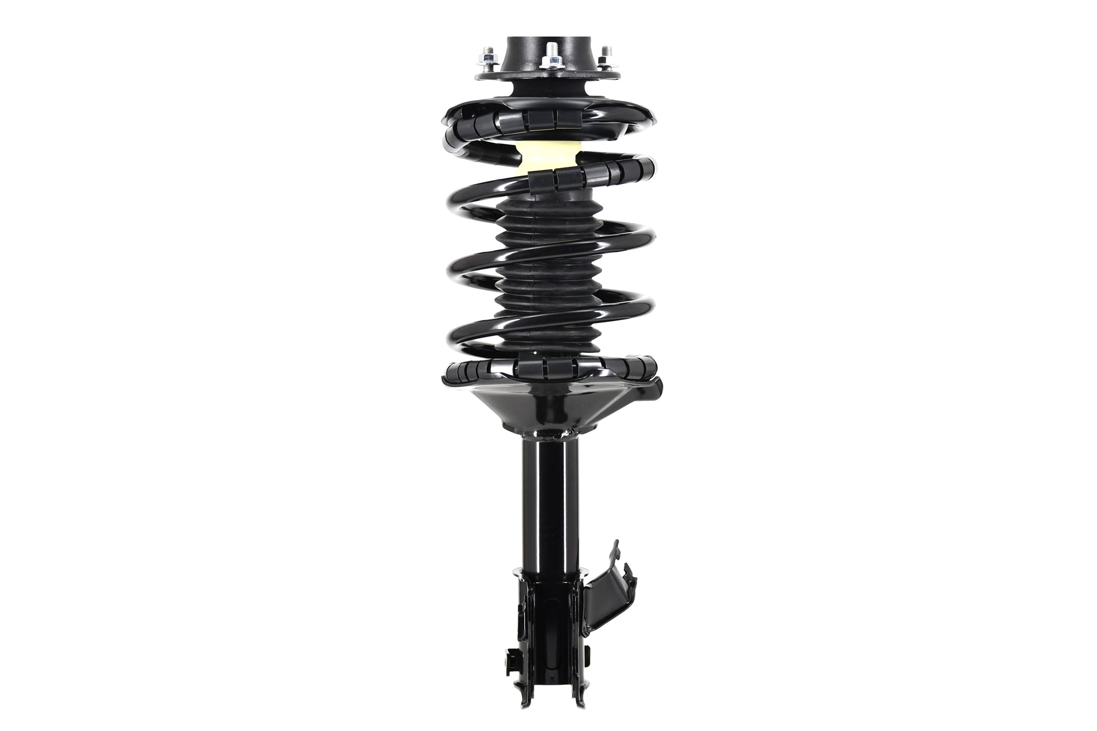 Suspension Strut and Coil Spring Assembly