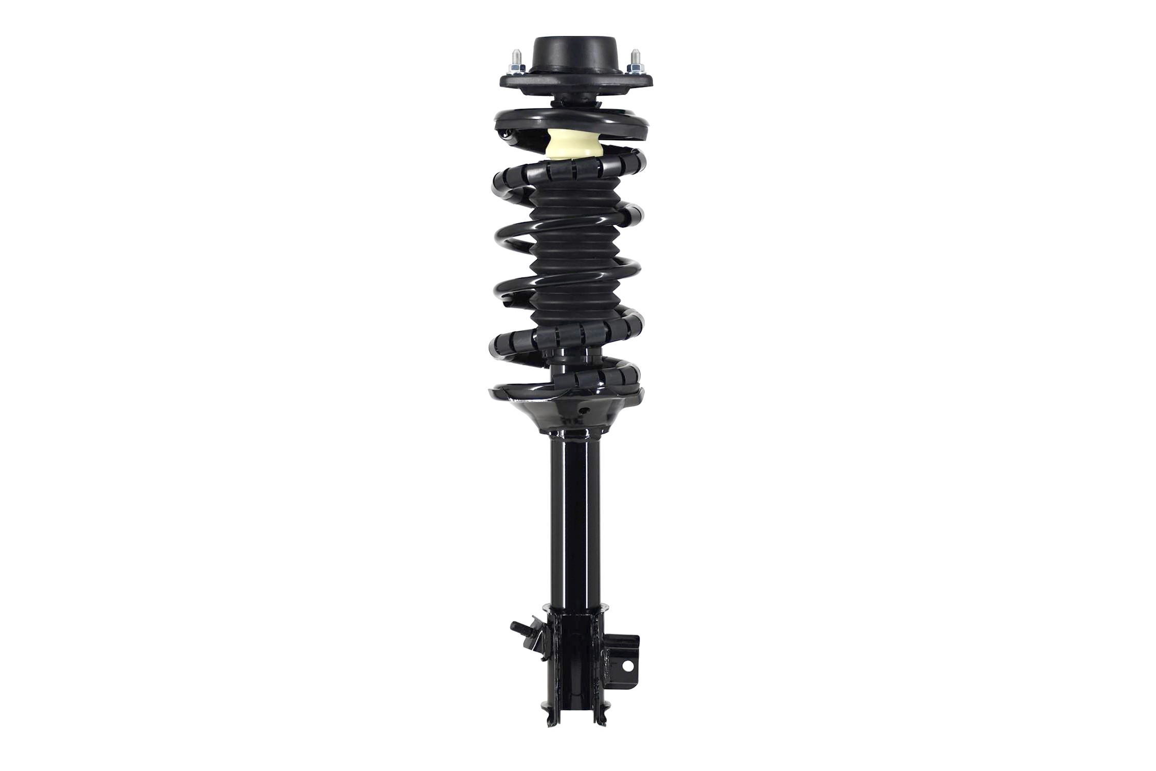 Suspension Strut and Coil Spring Assembly