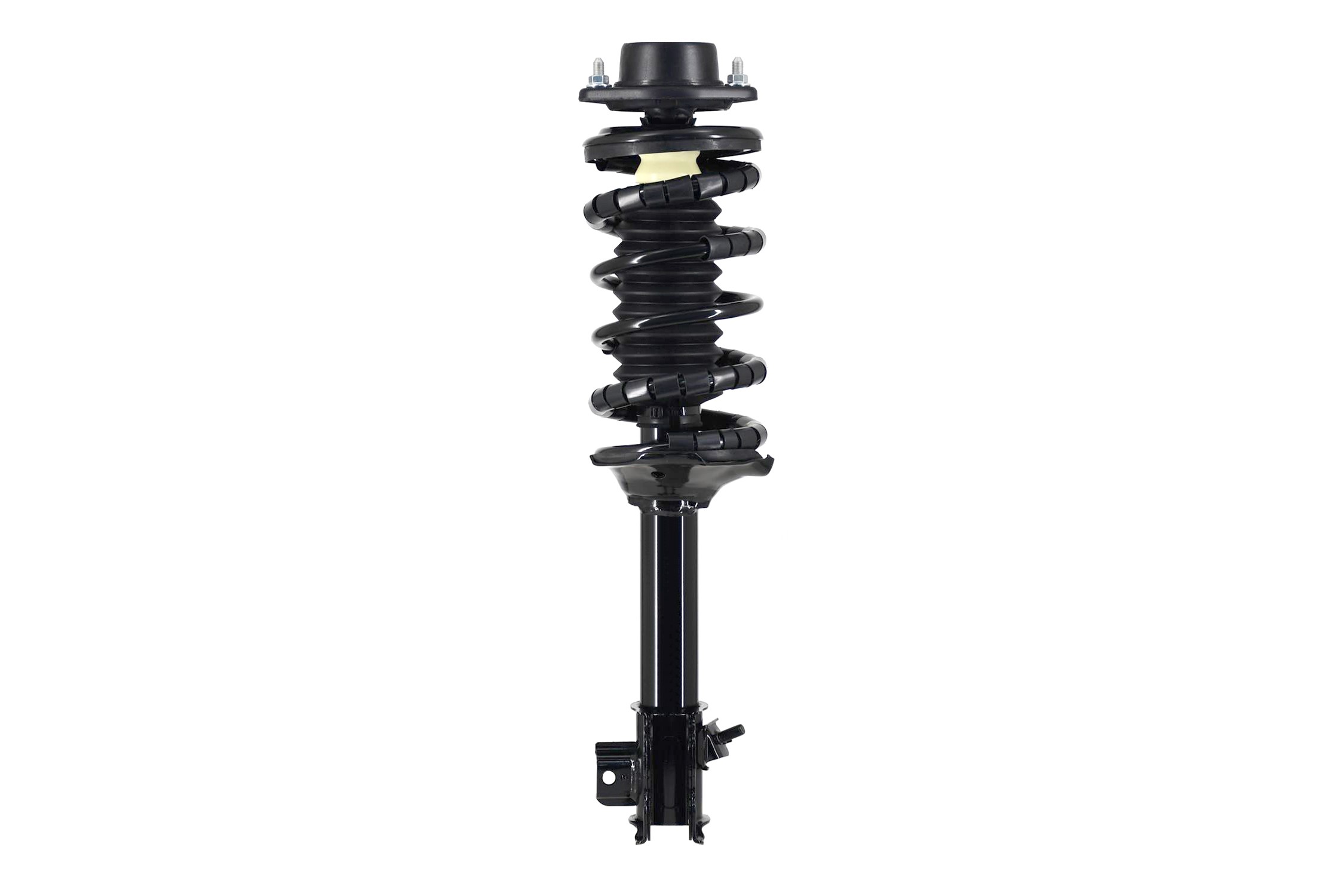 Suspension Strut and Coil Spring Assembly