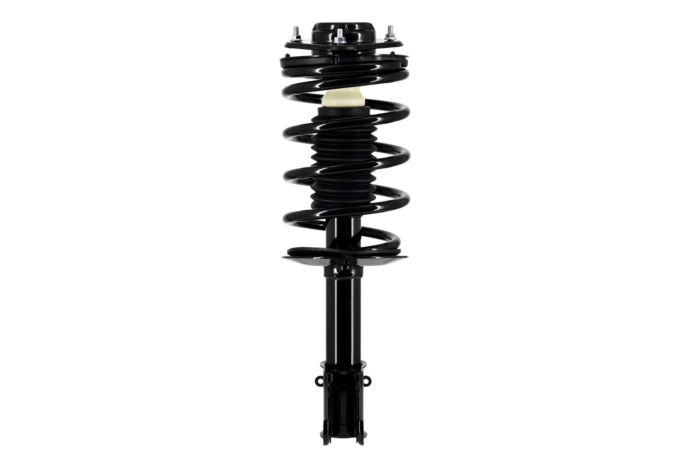 Suspension Strut and Coil Spring Assembly