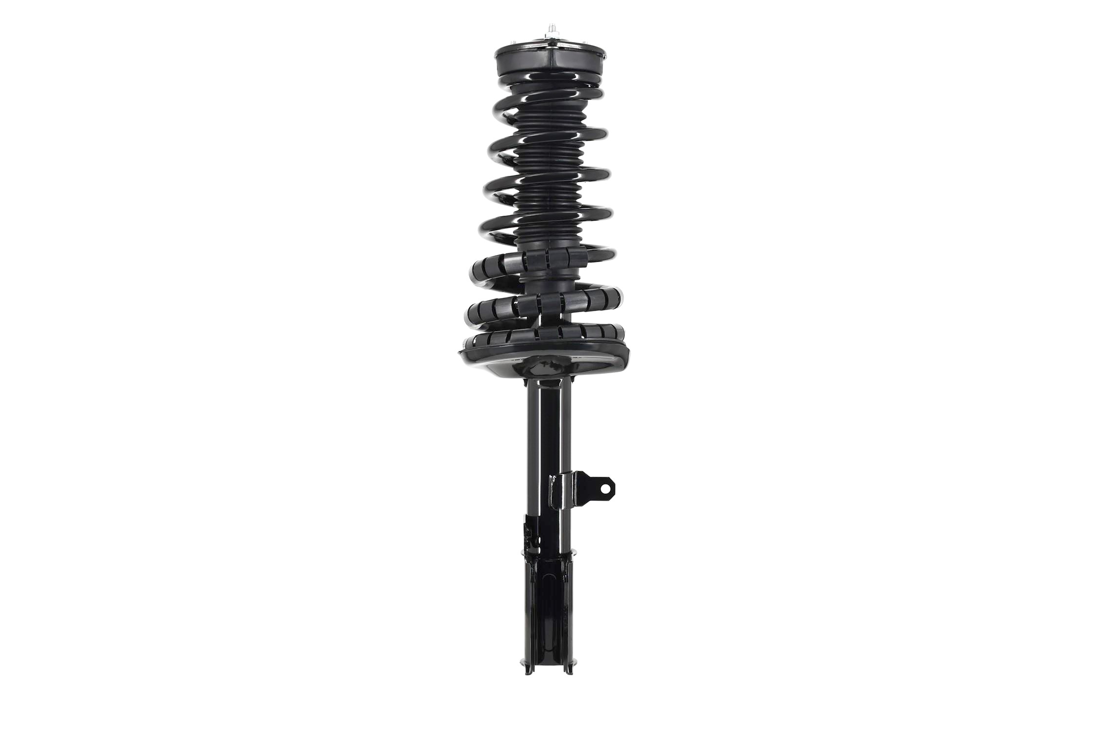 Suspension Strut and Coil Spring Assembly