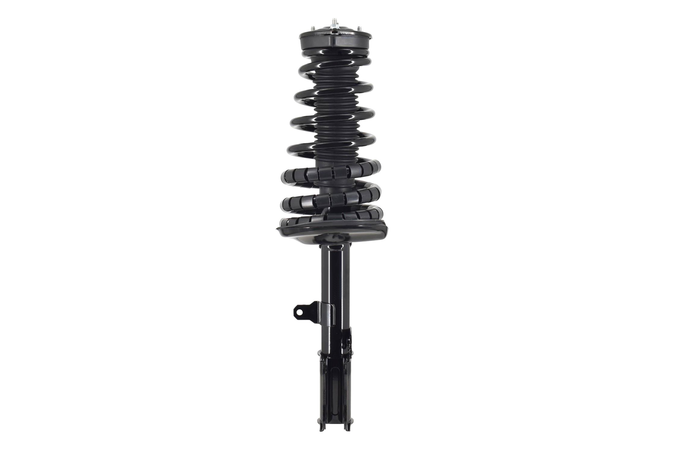 Suspension Strut and Coil Spring Assembly