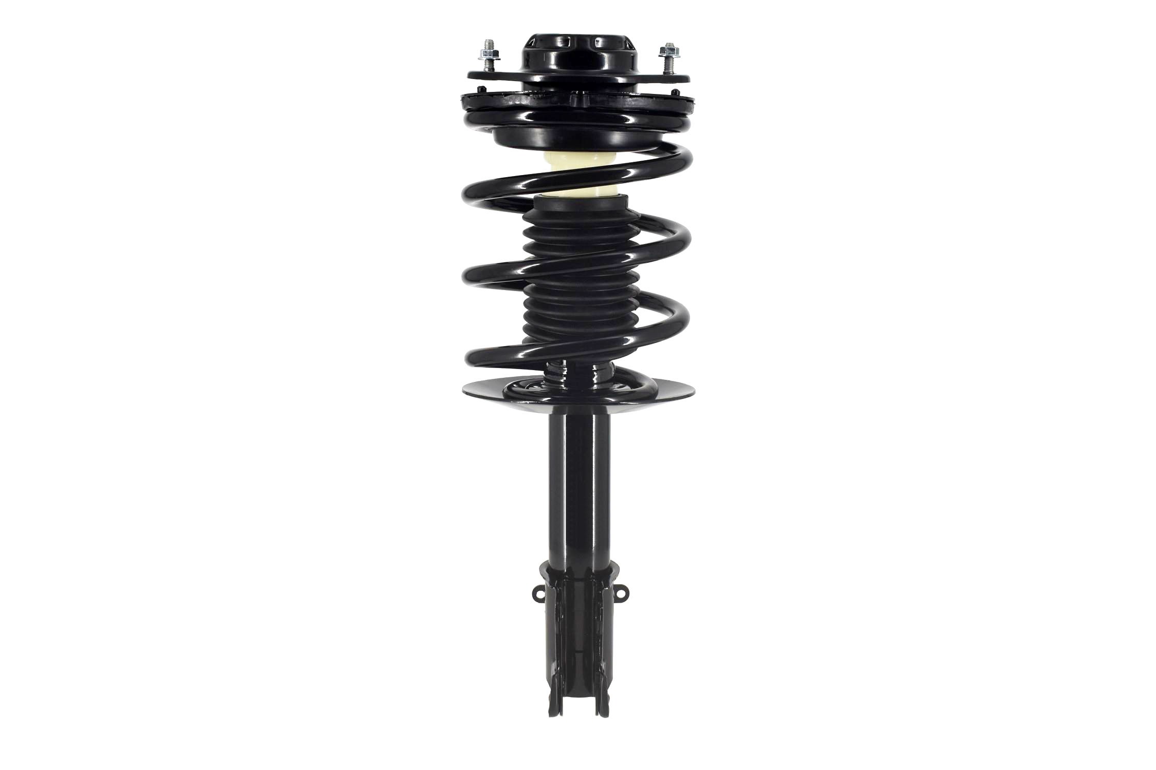 Suspension Strut and Coil Spring Assembly