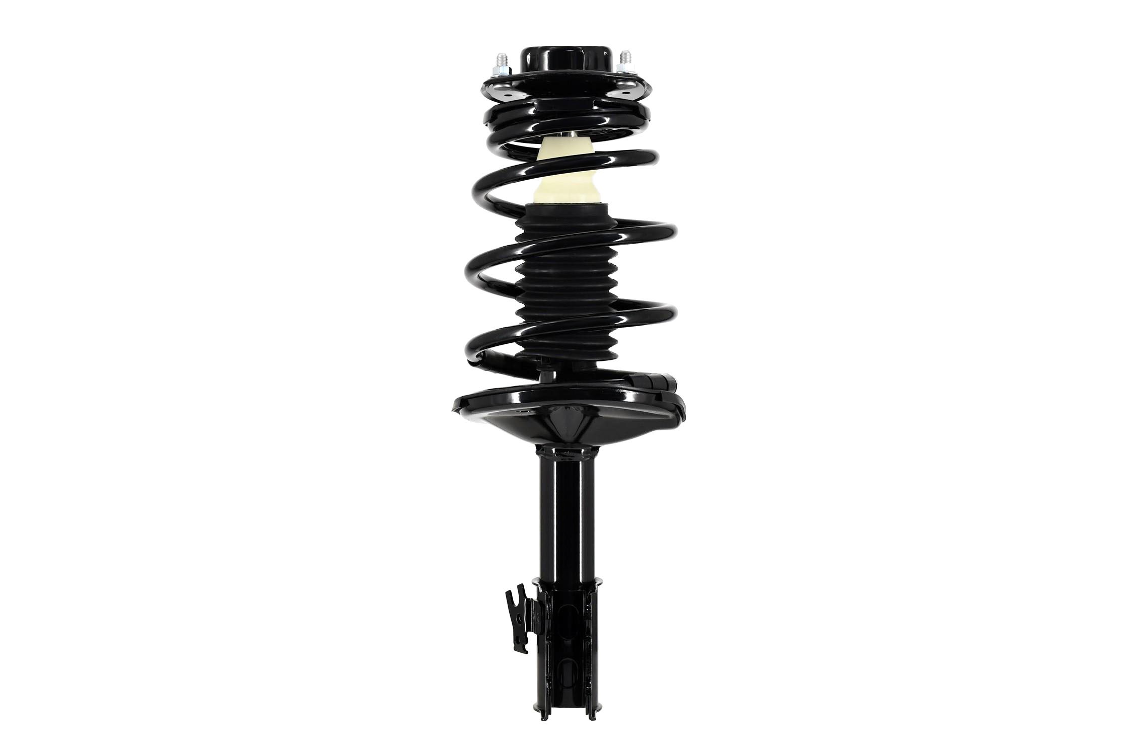 Suspension Strut and Coil Spring Assembly