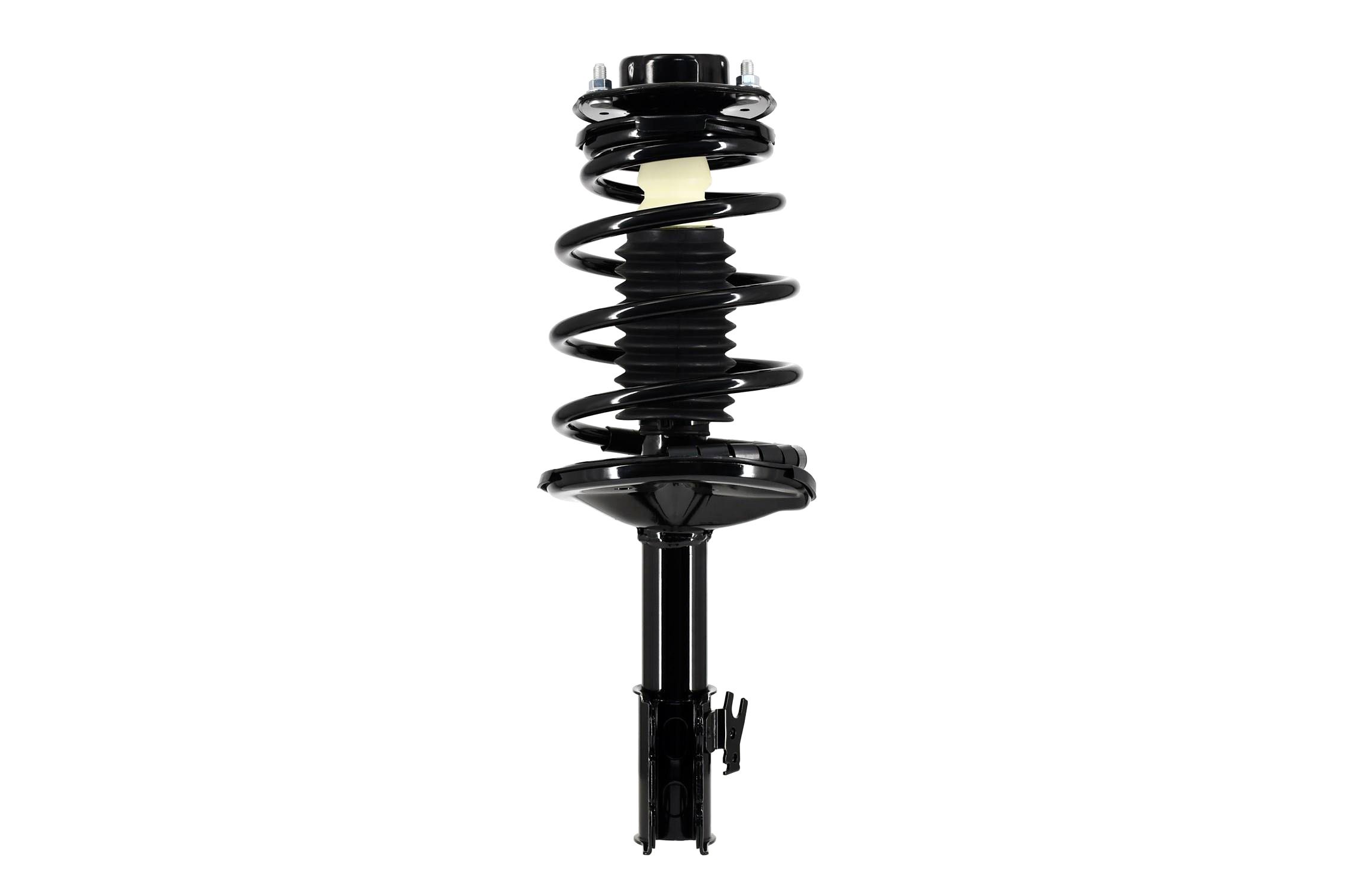 Suspension Strut and Coil Spring Assembly