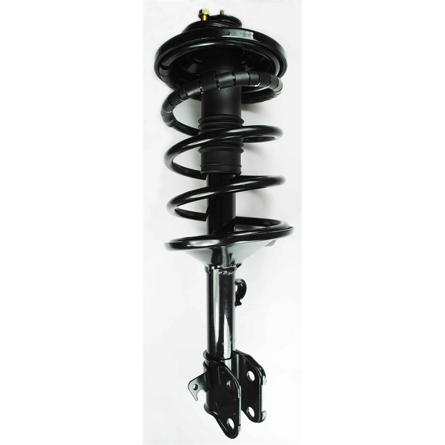 Suspension Strut and Coil Spring Assembly
