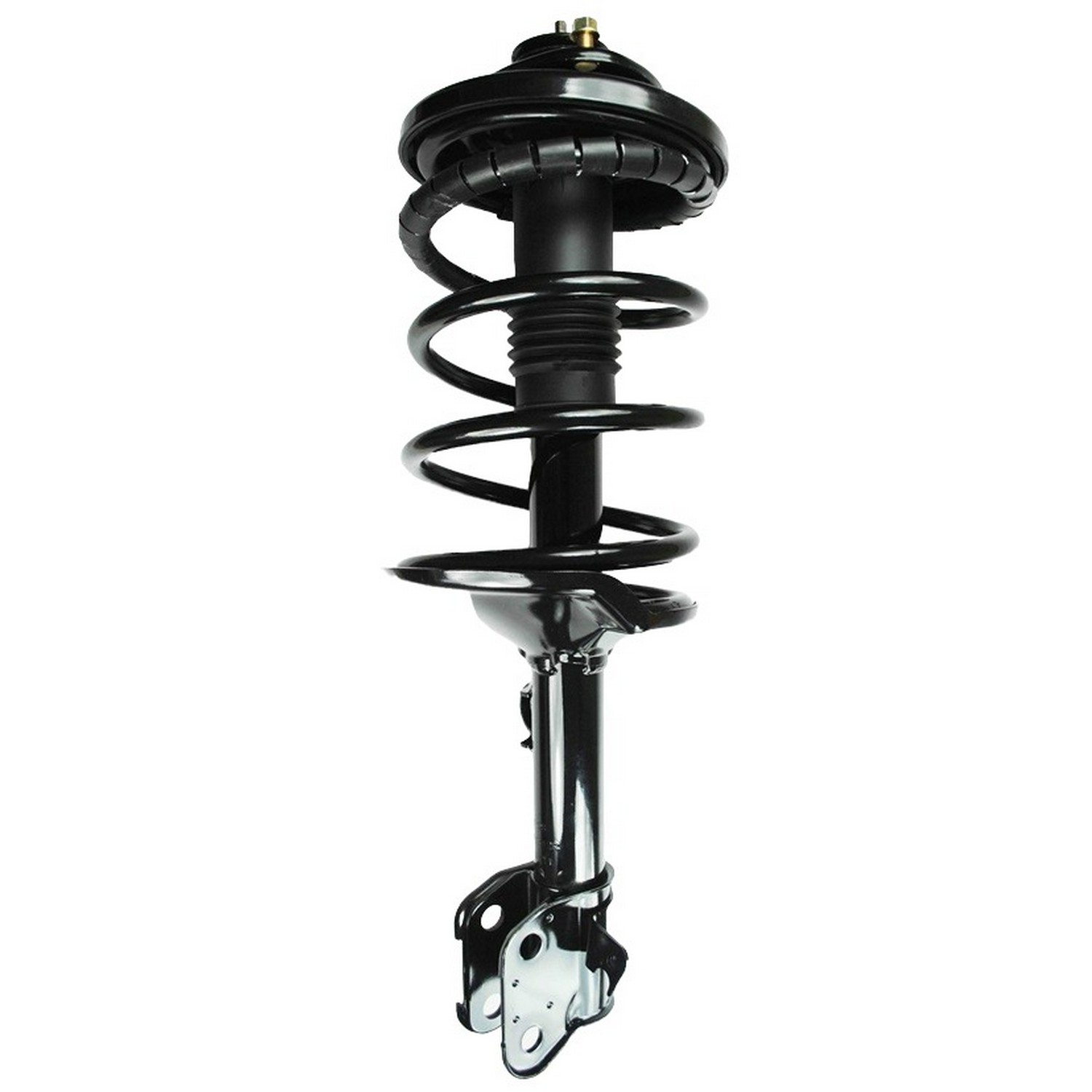 Suspension Strut and Coil Spring Assembly