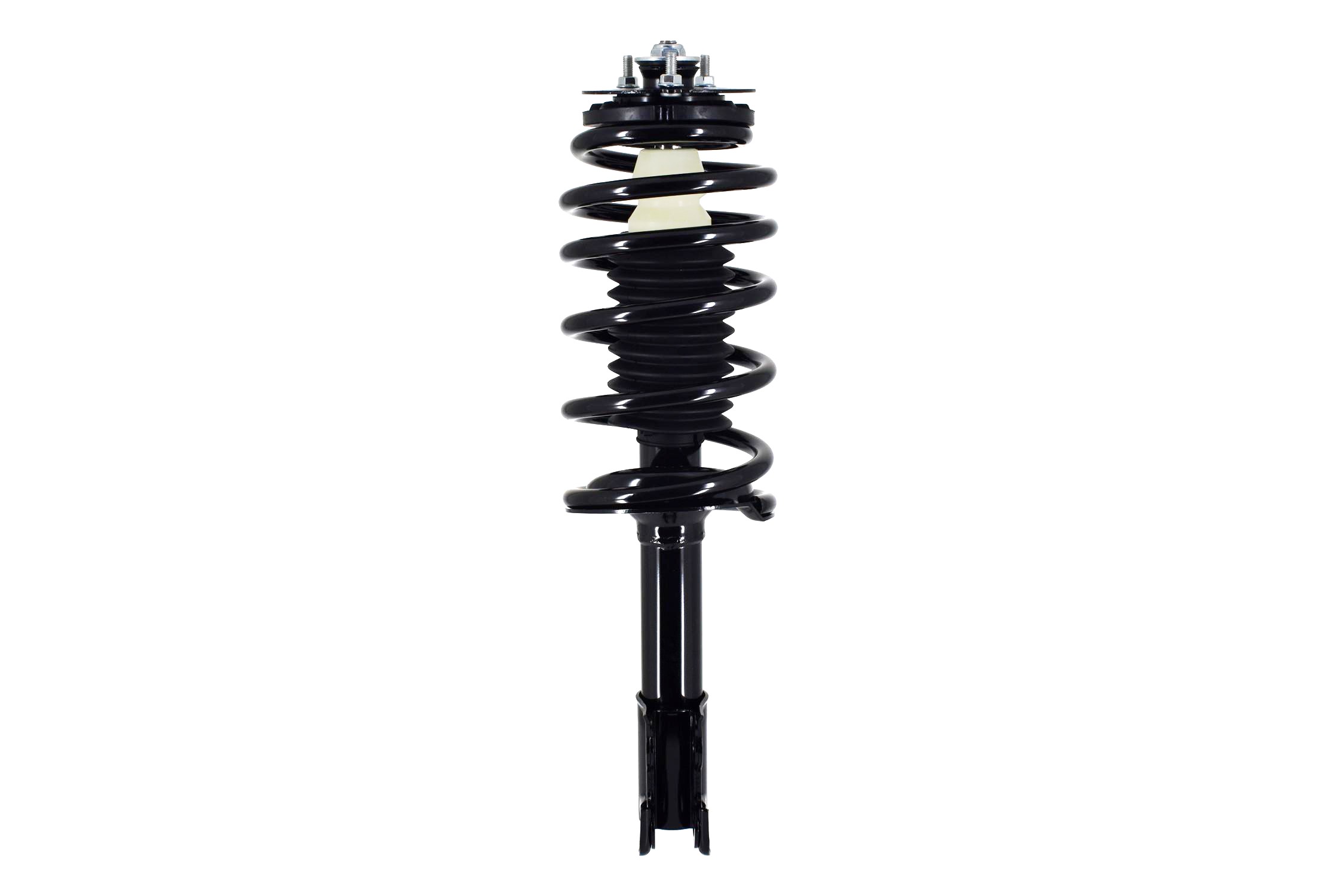 Suspension Strut and Coil Spring Assembly