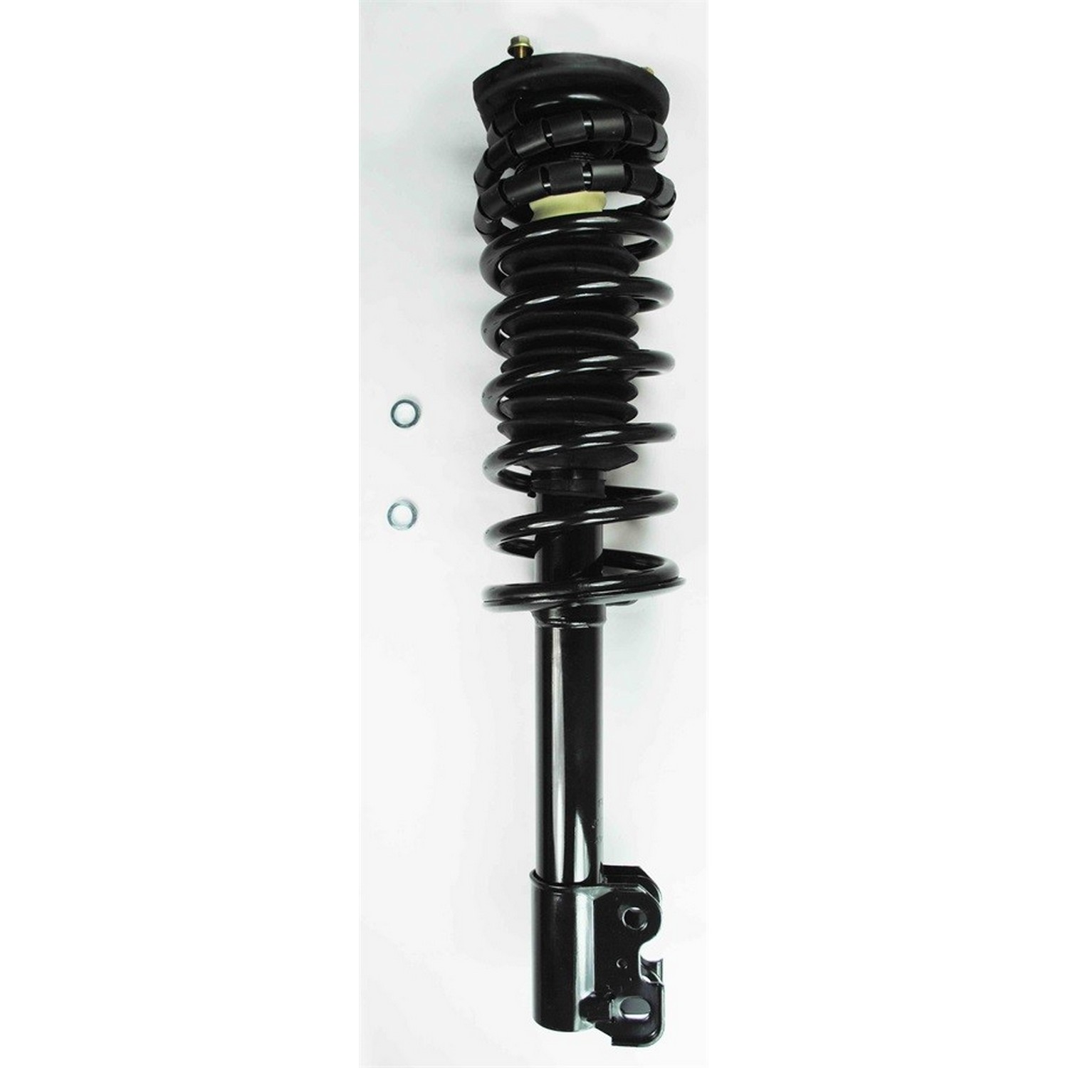 Suspension Strut and Coil Spring Assembly