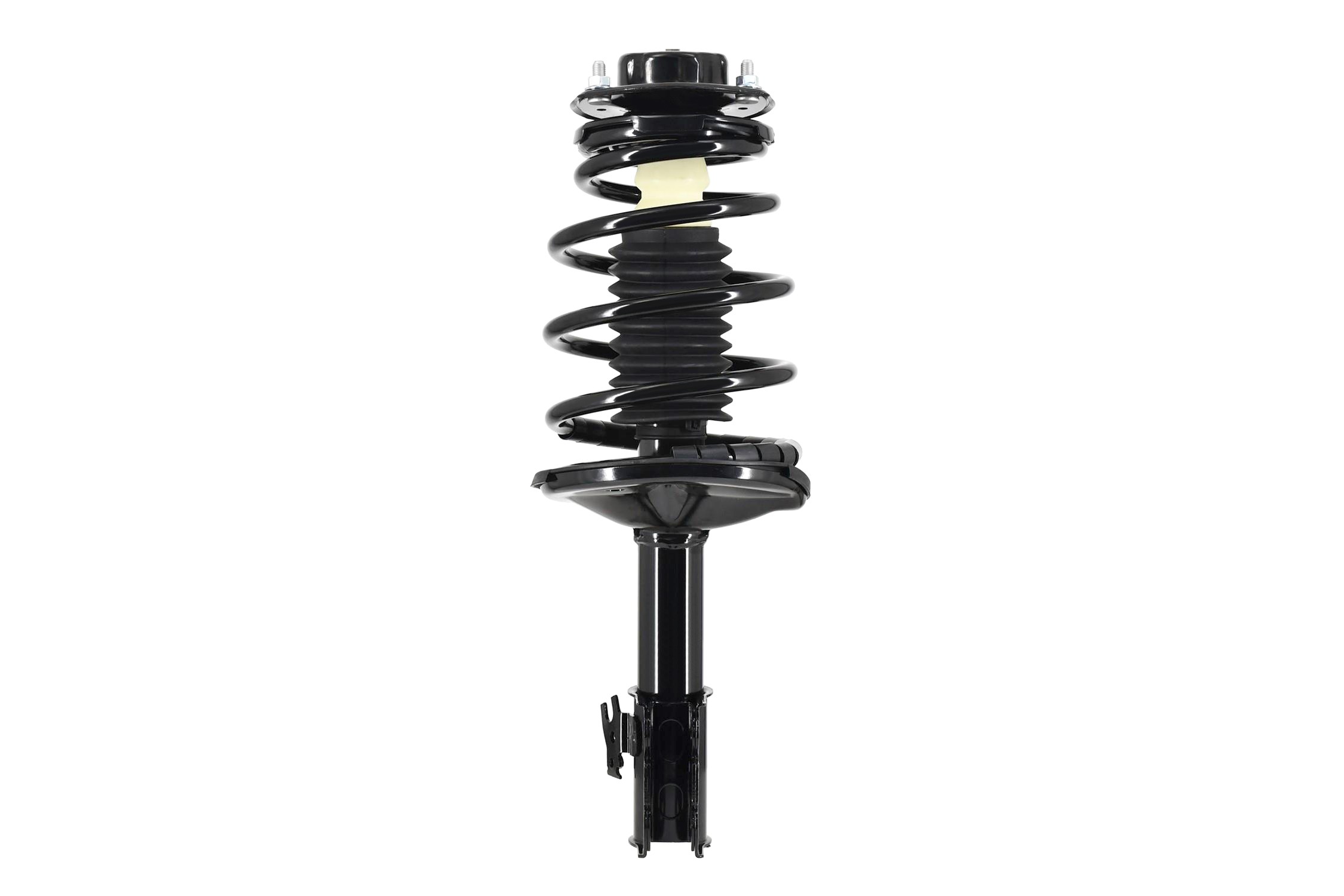 Suspension Strut and Coil Spring Assembly