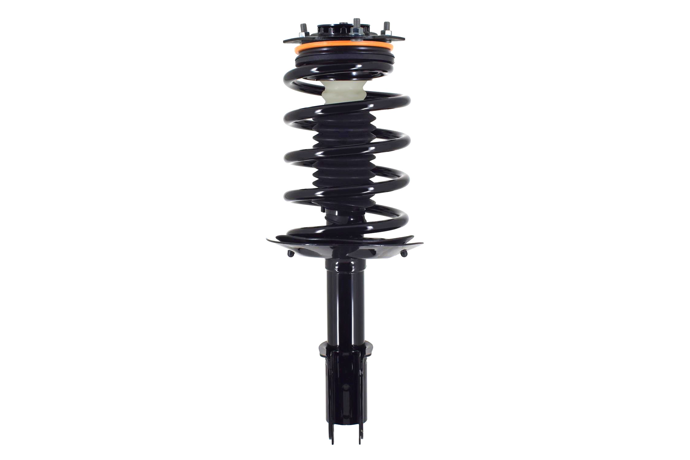 Suspension Strut and Coil Spring Assembly