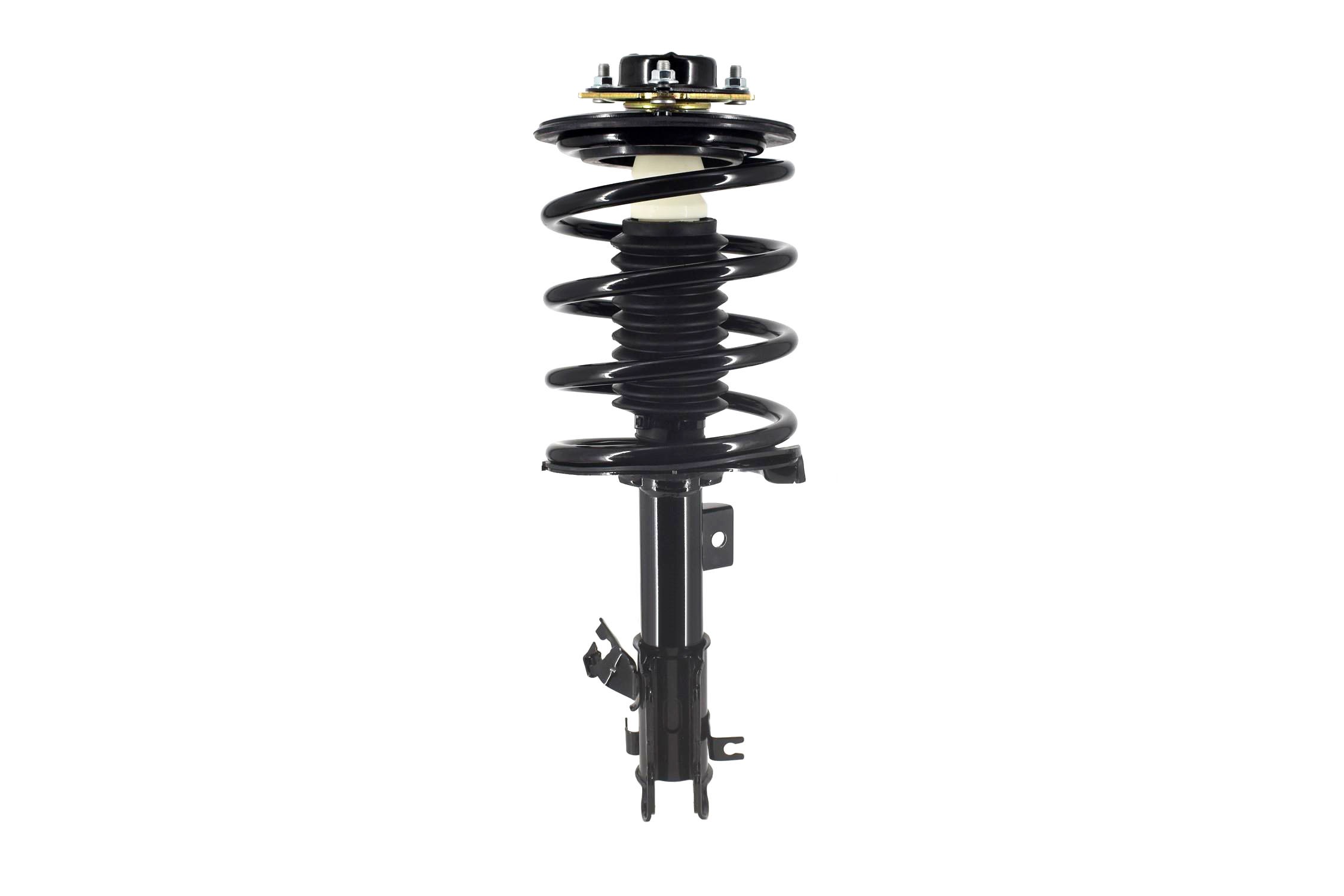 Suspension Strut and Coil Spring Assembly