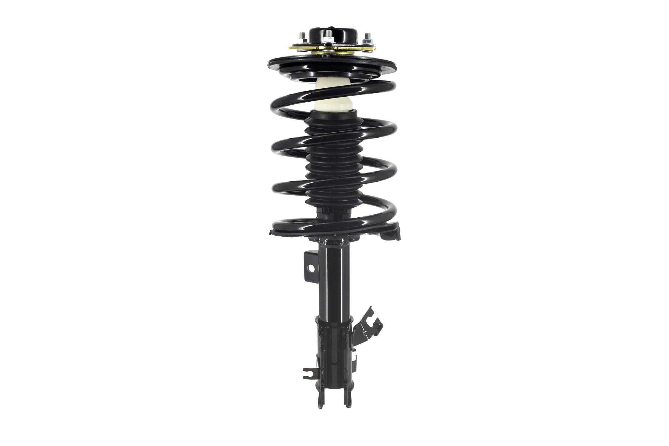 Suspension Strut and Coil Spring Assembly