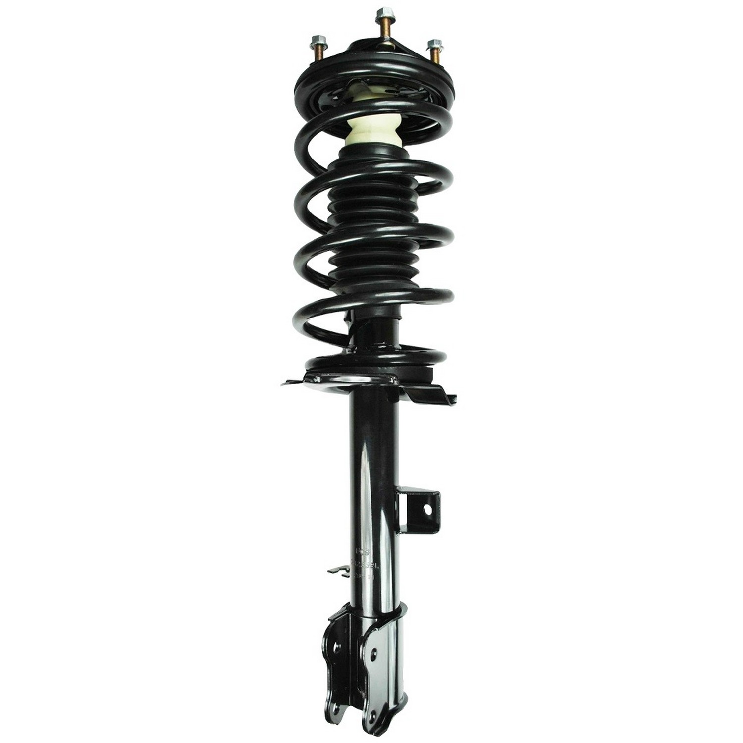 Suspension Strut and Coil Spring Assembly