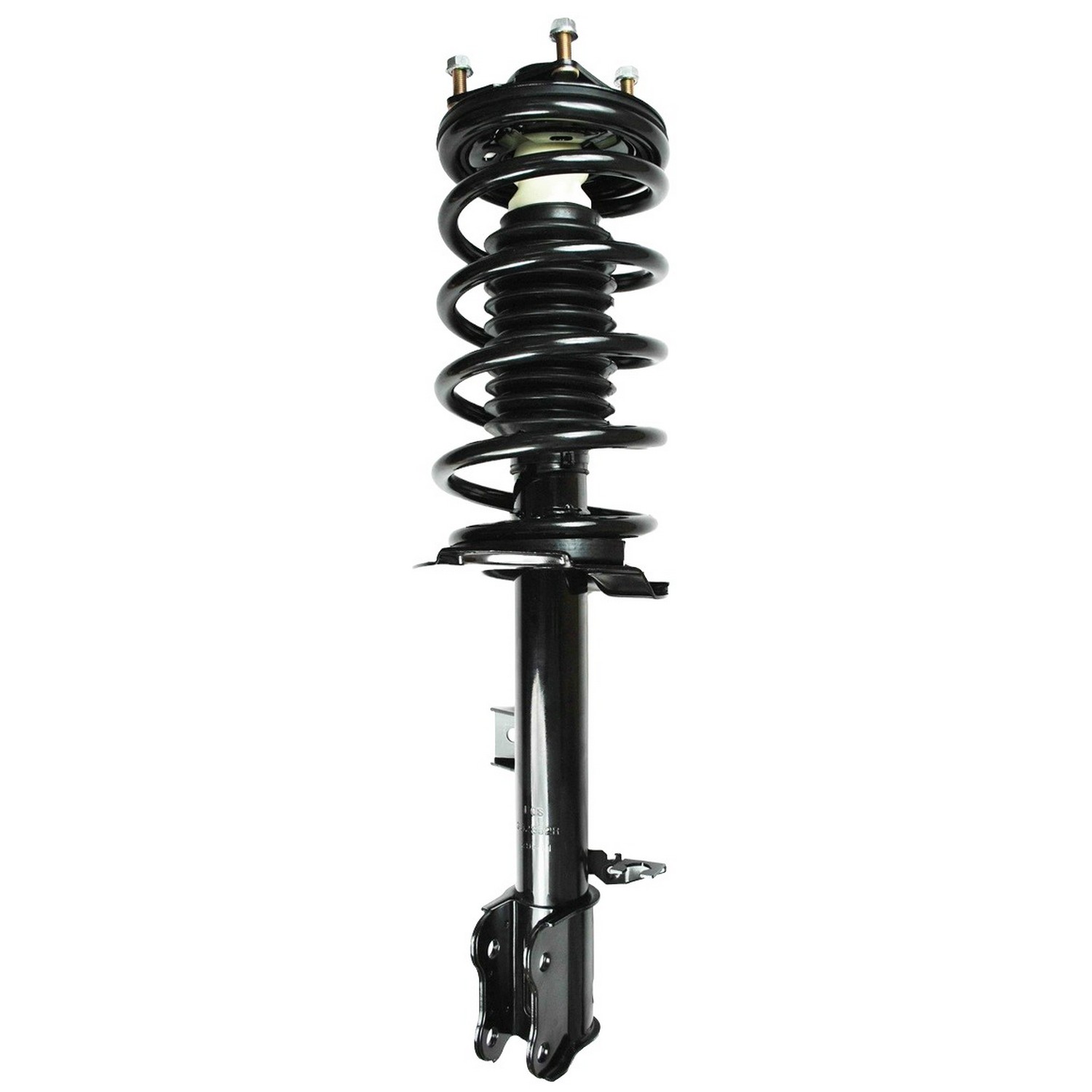 Suspension Strut and Coil Spring Assembly