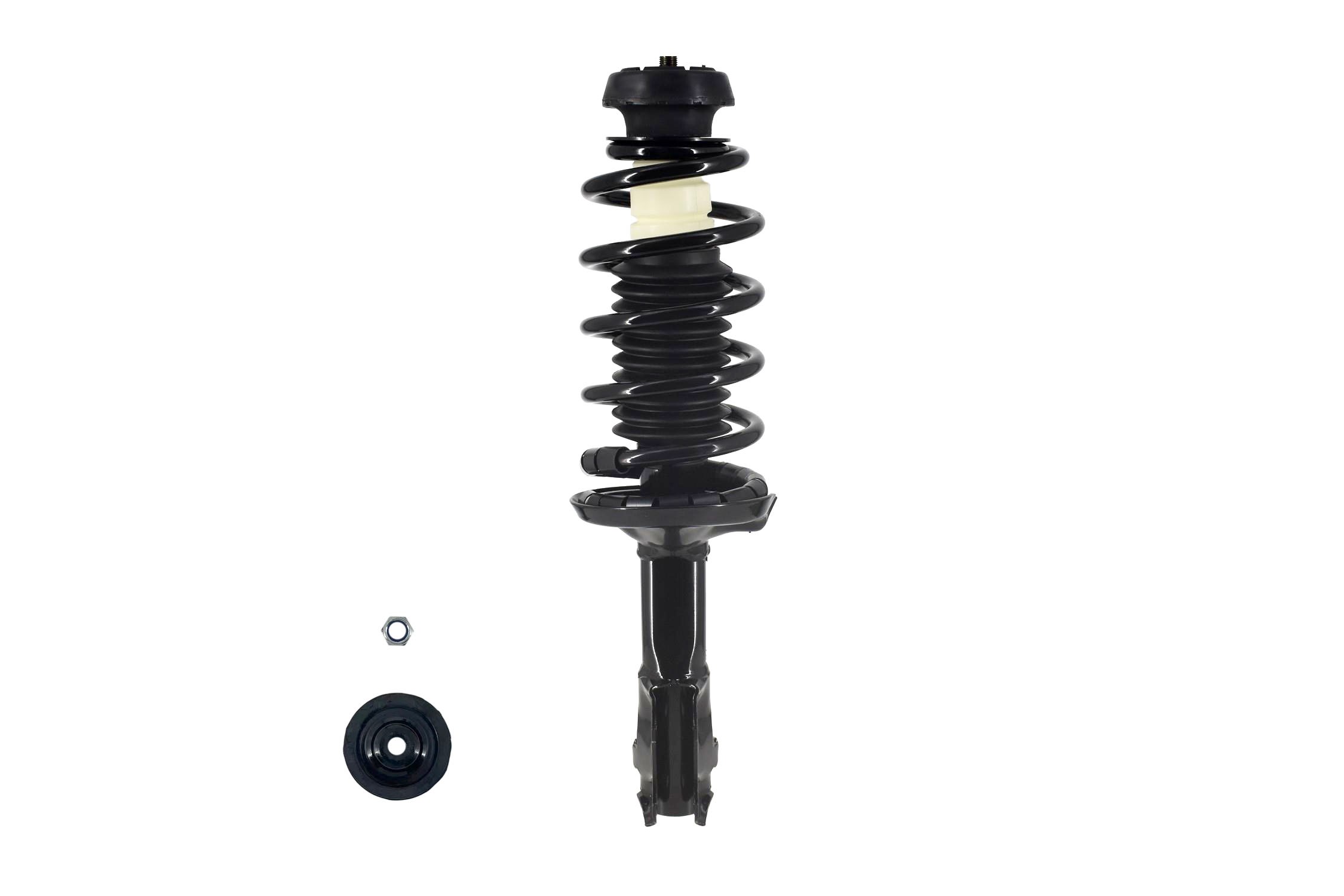 Suspension Strut and Coil Spring Assembly