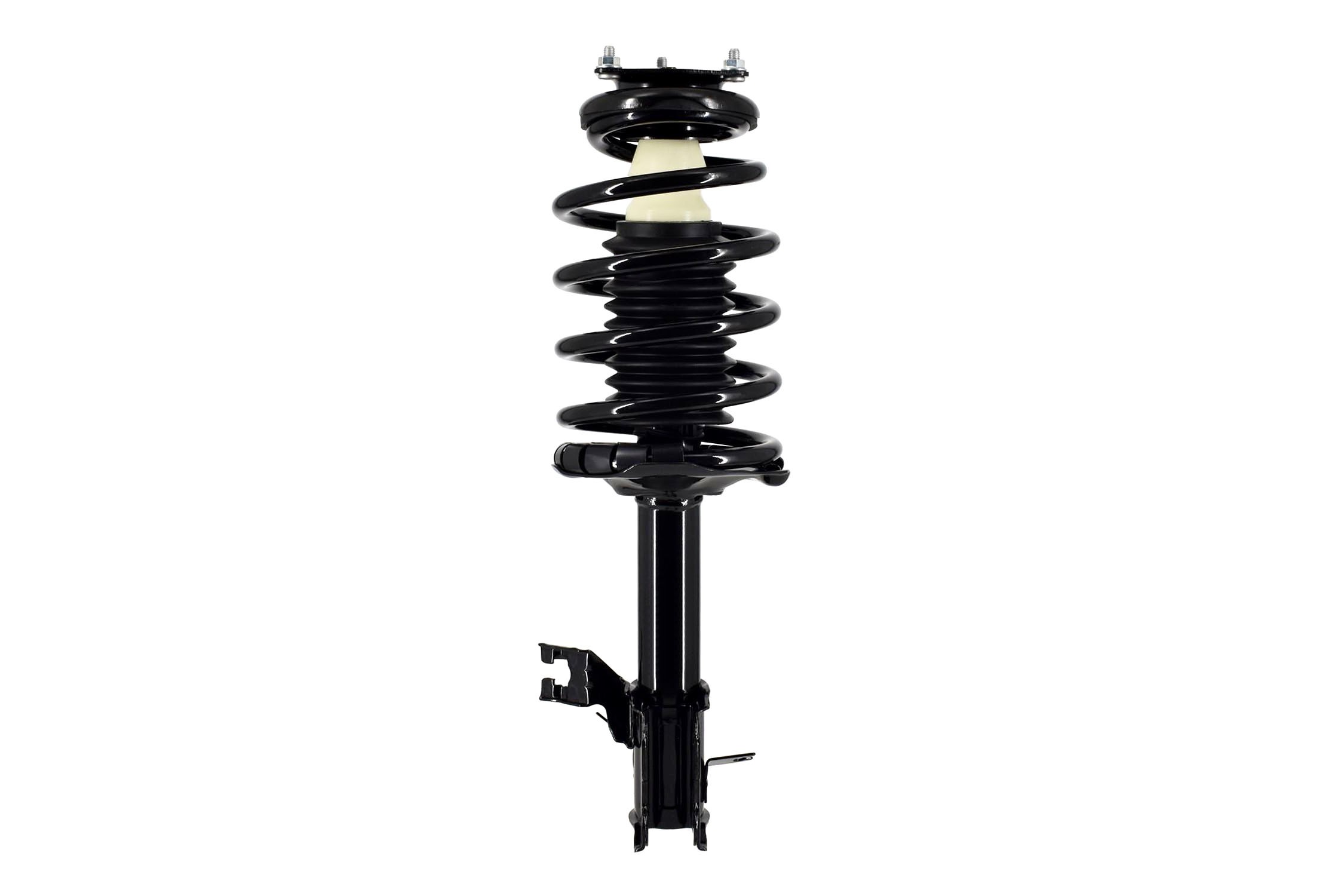 Suspension Strut and Coil Spring Assembly