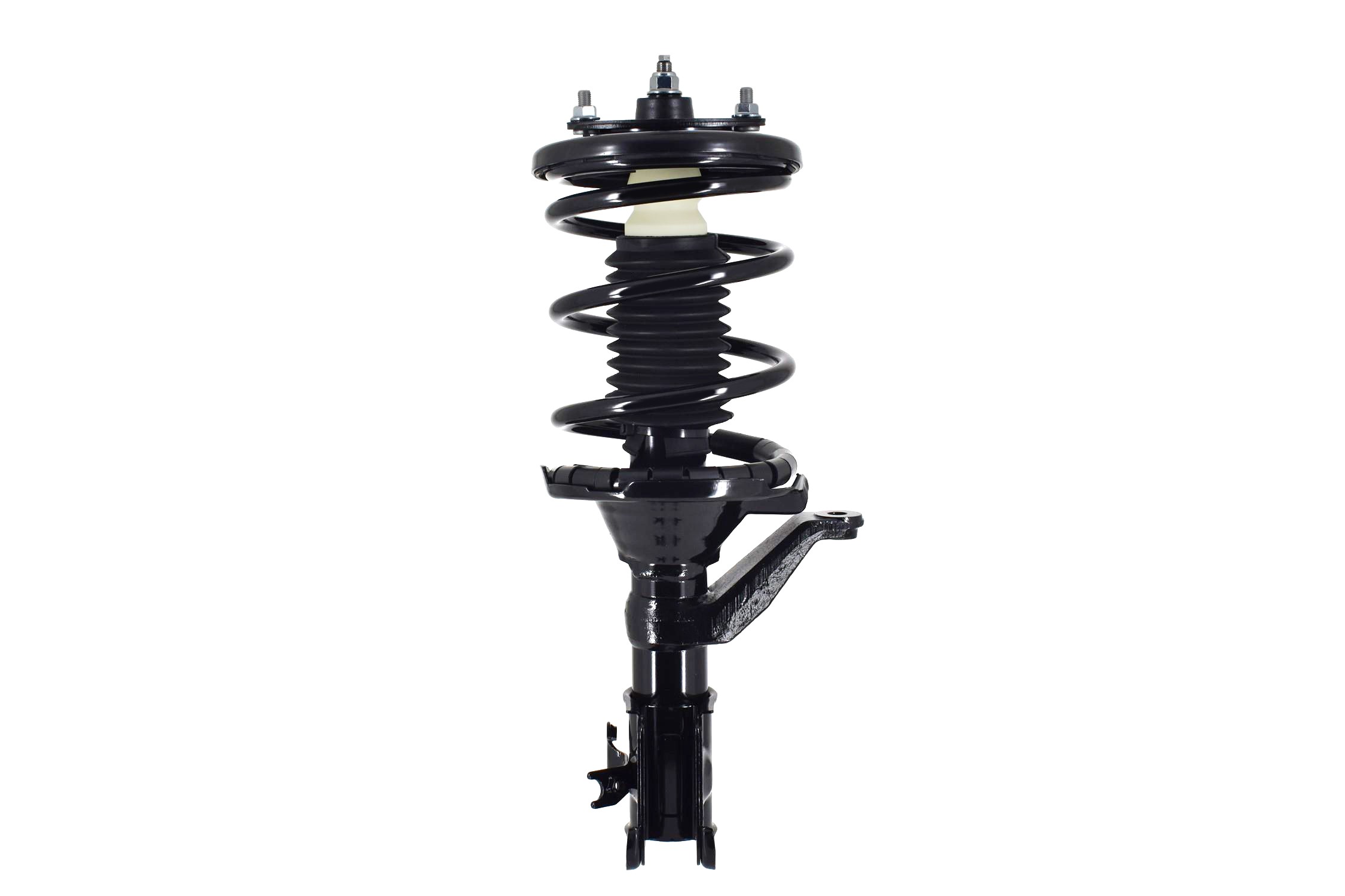 Suspension Strut and Coil Spring Assembly