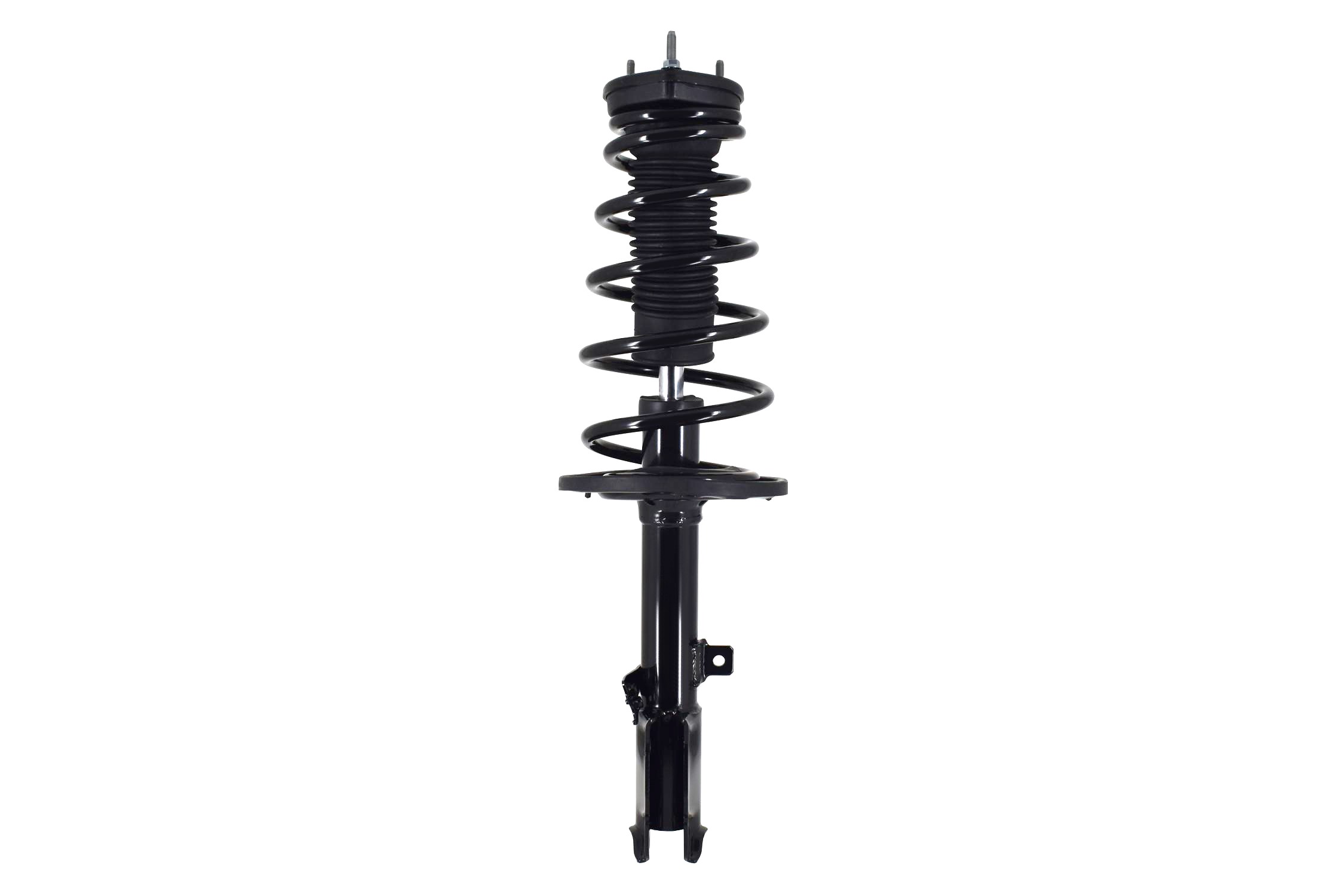 Suspension Strut and Coil Spring Assembly