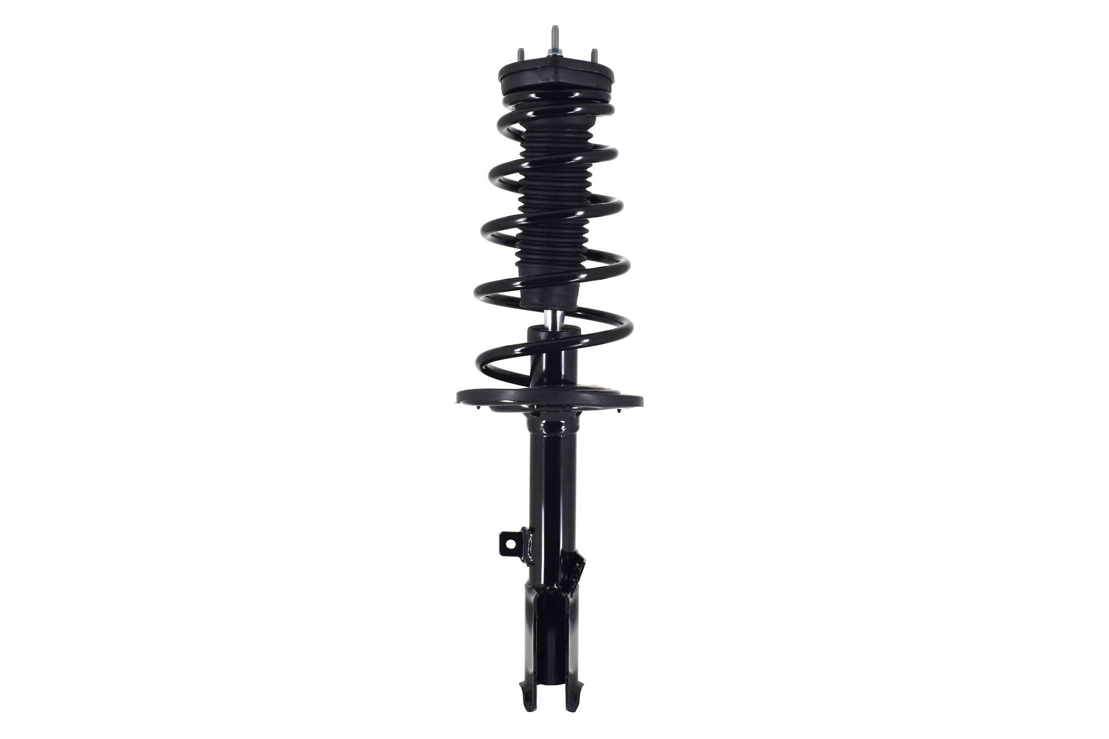 Suspension Strut and Coil Spring Assembly