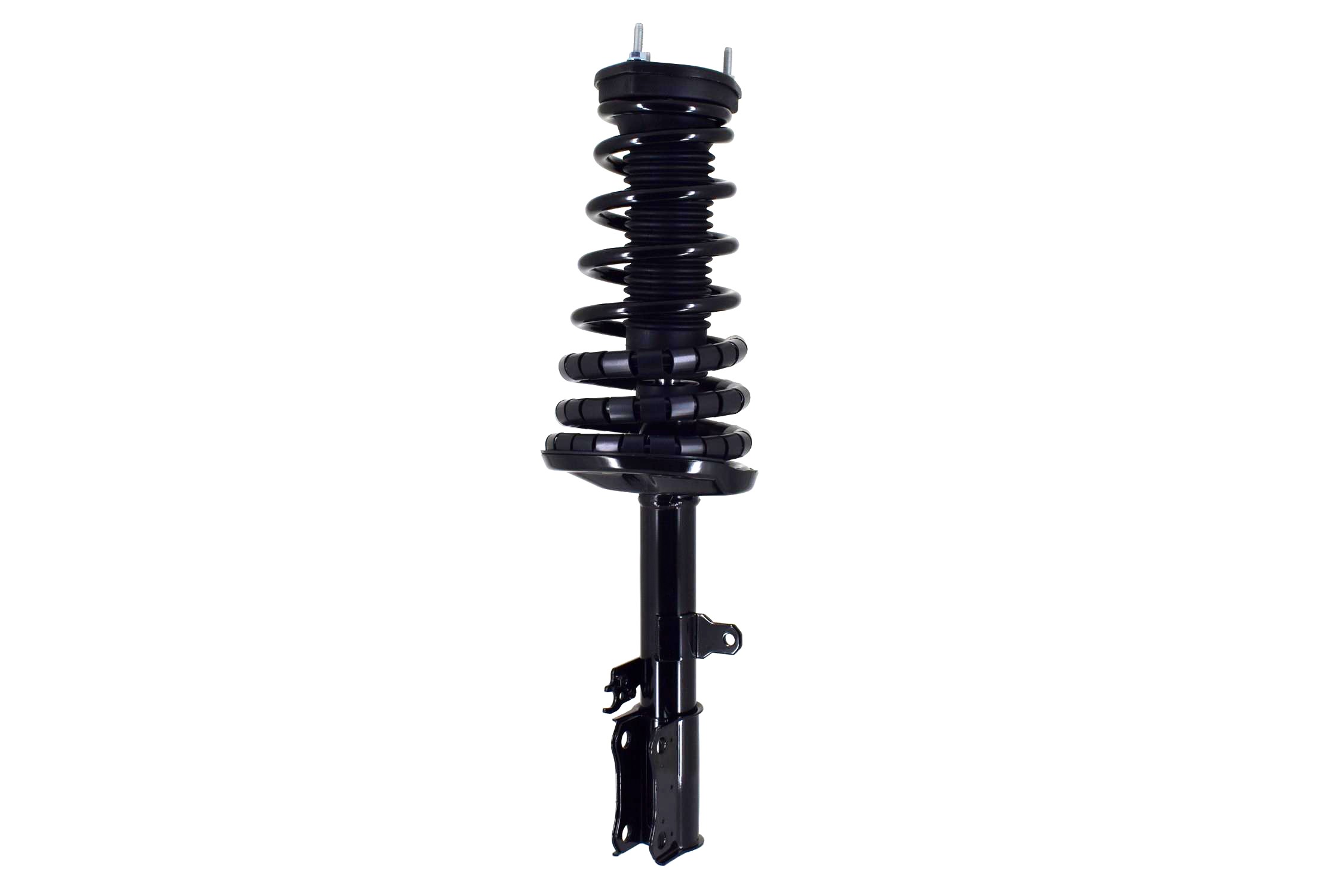 Suspension Strut and Coil Spring Assembly