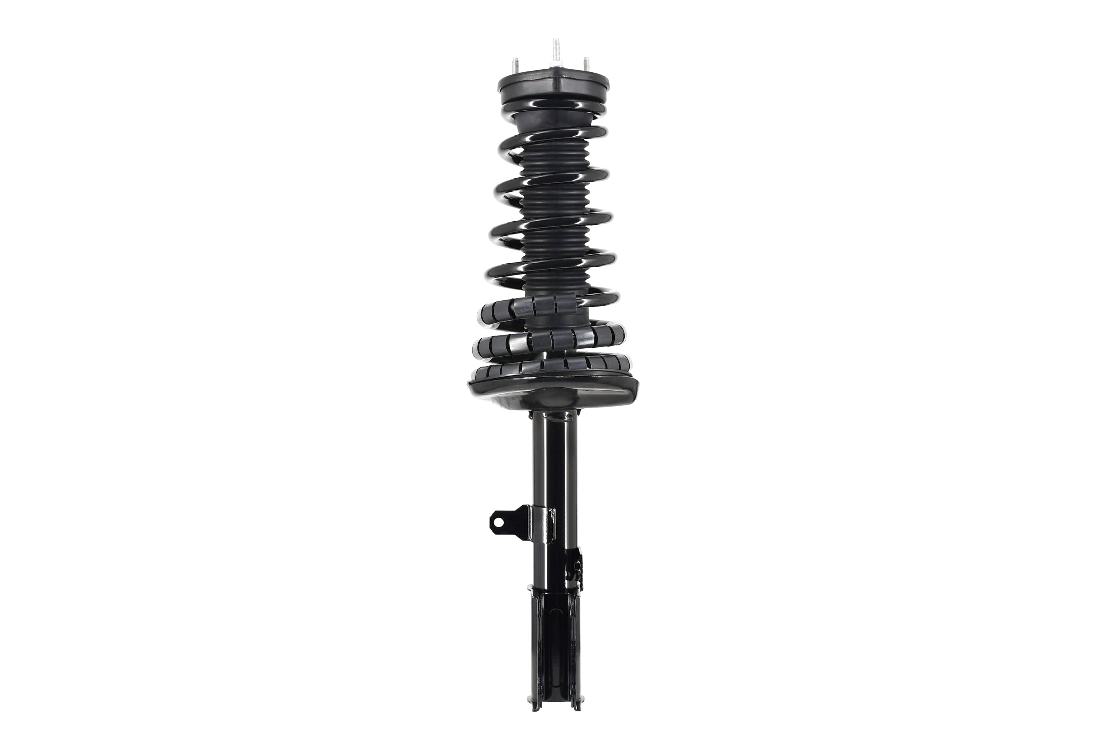 Suspension Strut and Coil Spring Assembly