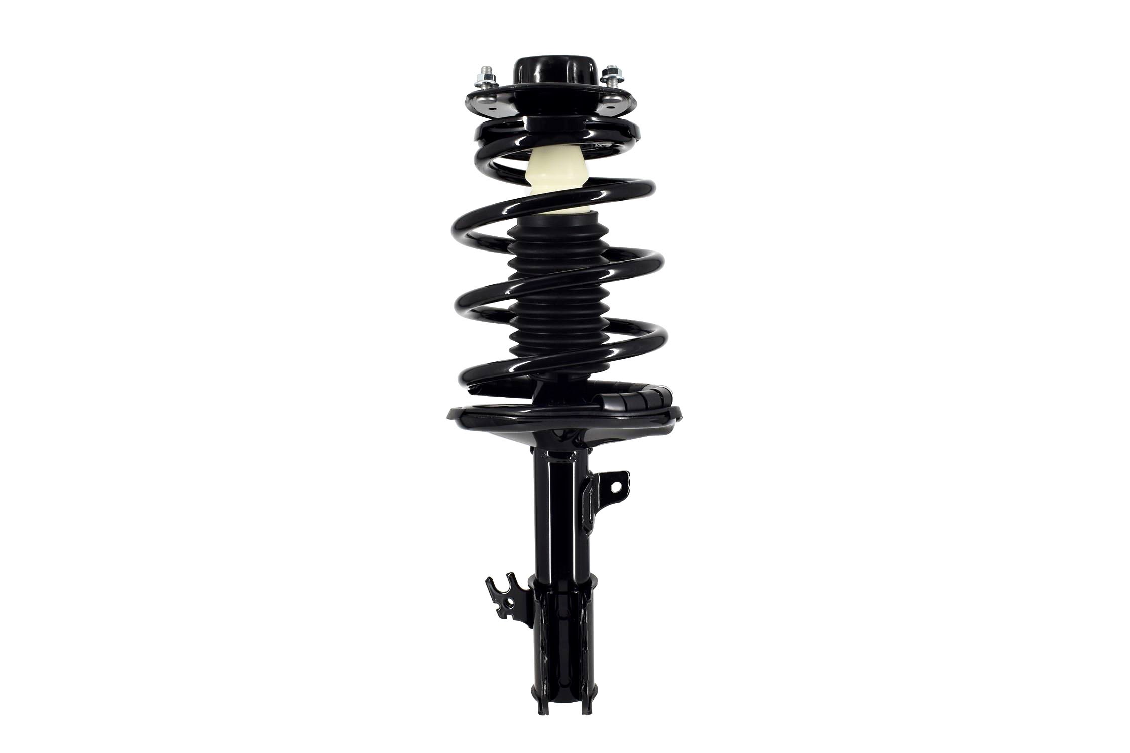 Suspension Strut and Coil Spring Assembly