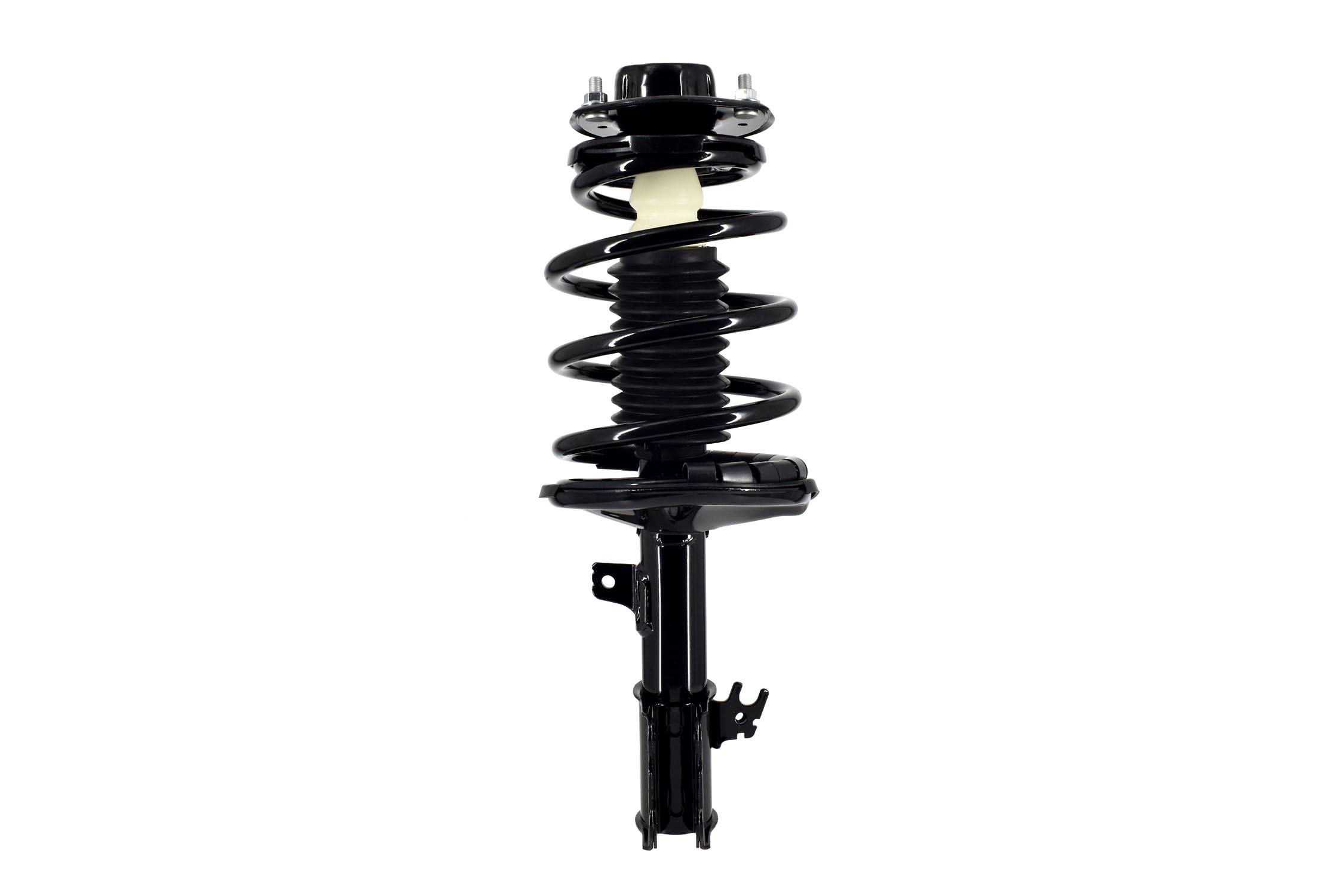 Suspension Strut and Coil Spring Assembly