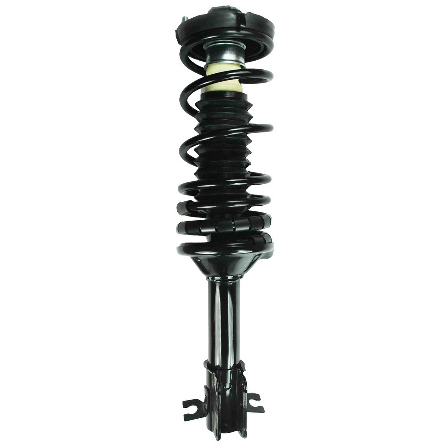 Suspension Strut and Coil Spring Assembly