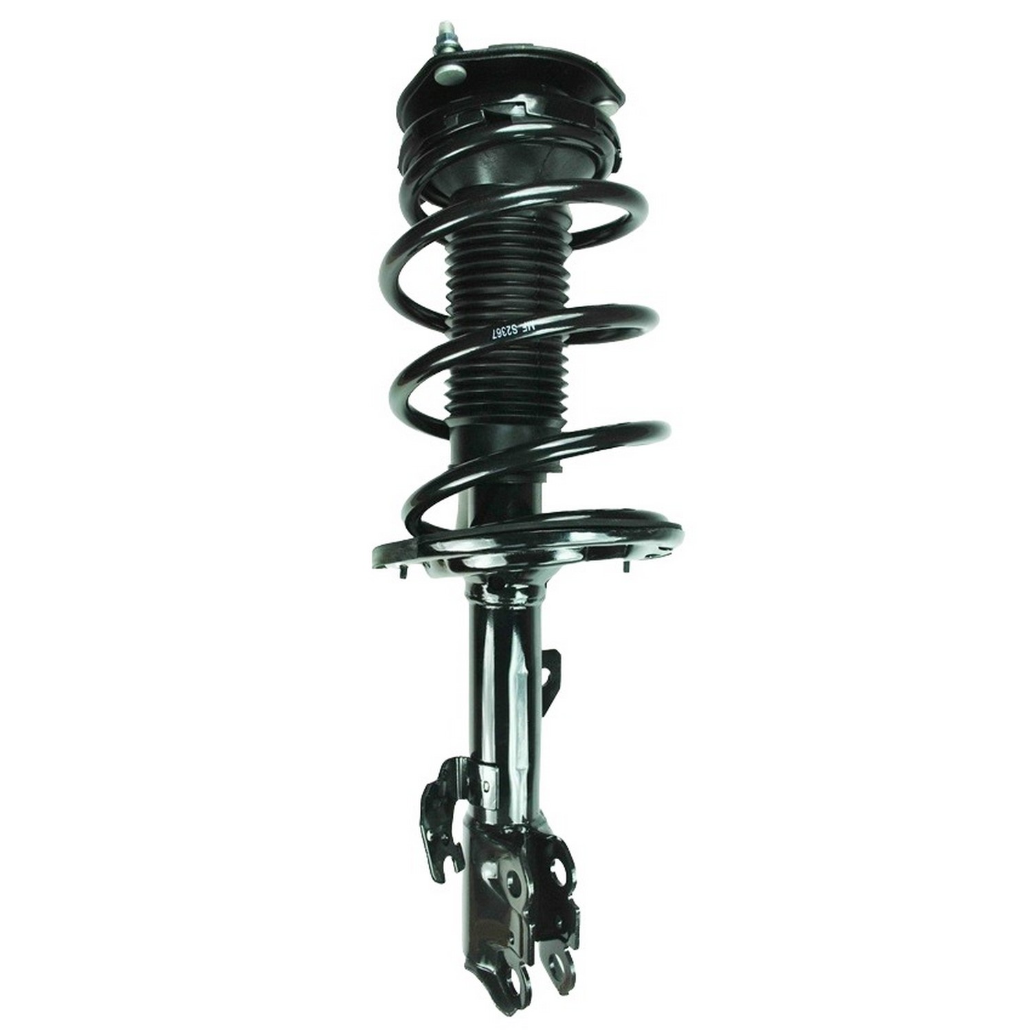 Suspension Strut and Coil Spring Assembly