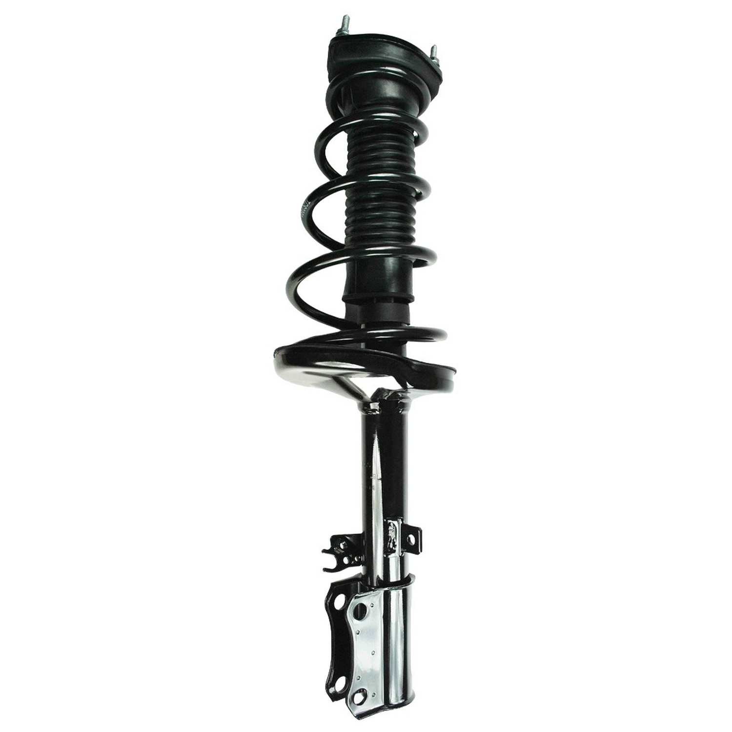 Suspension Strut and Coil Spring Assembly