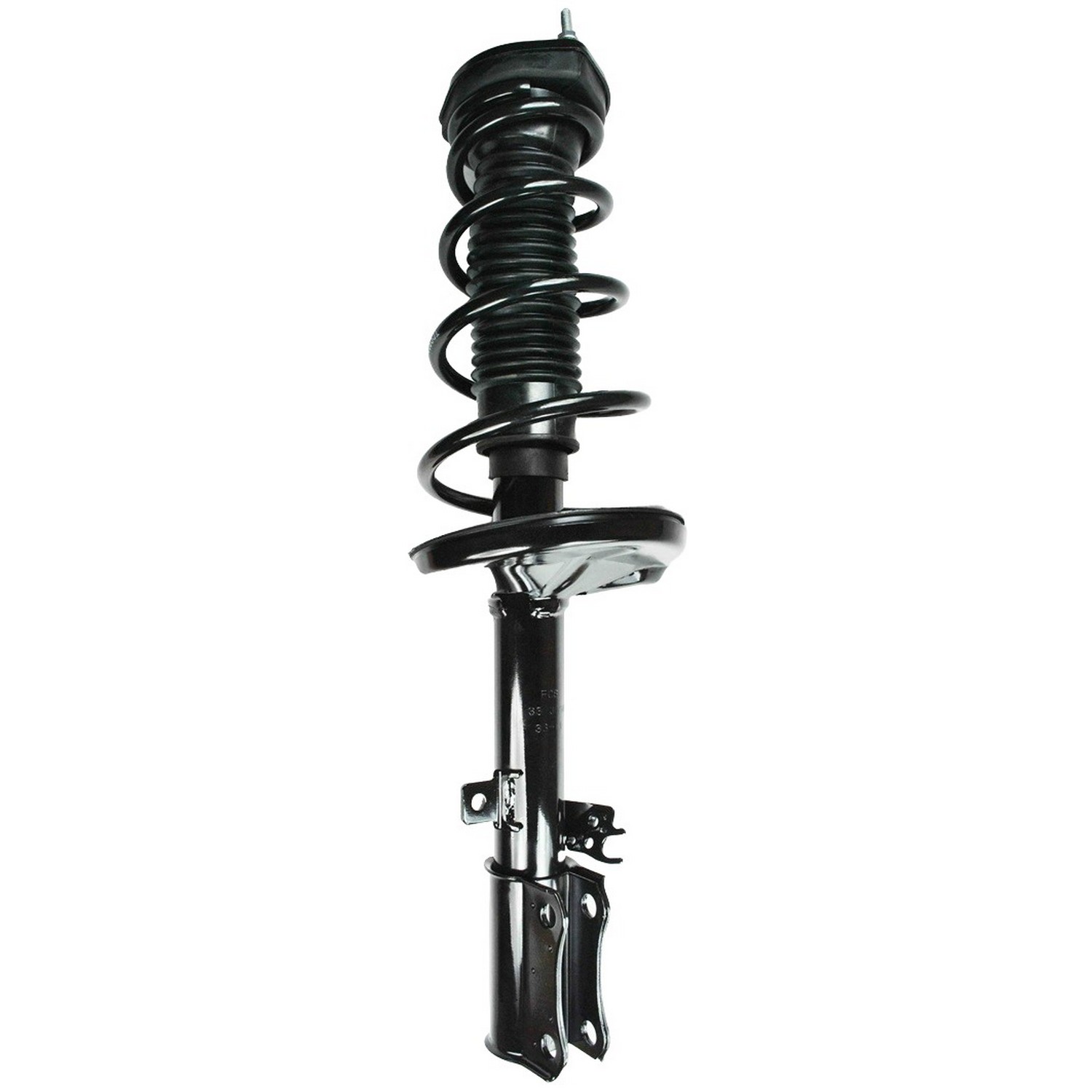 Suspension Strut and Coil Spring Assembly