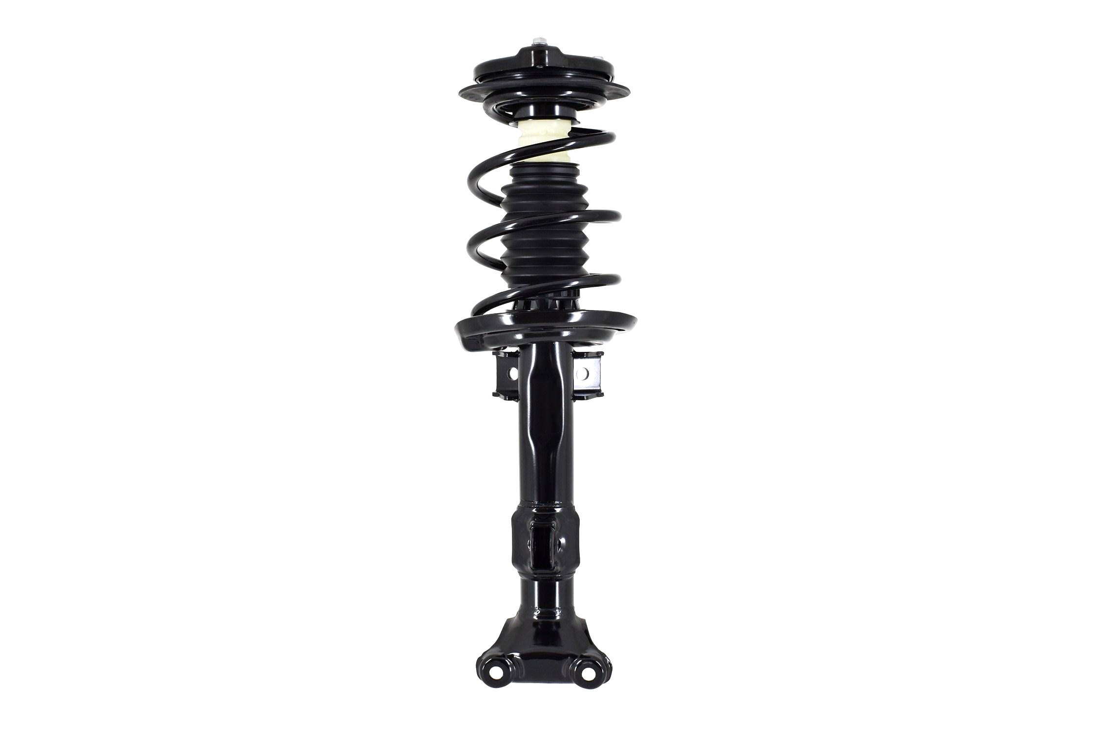 Suspension Strut and Coil Spring Assembly