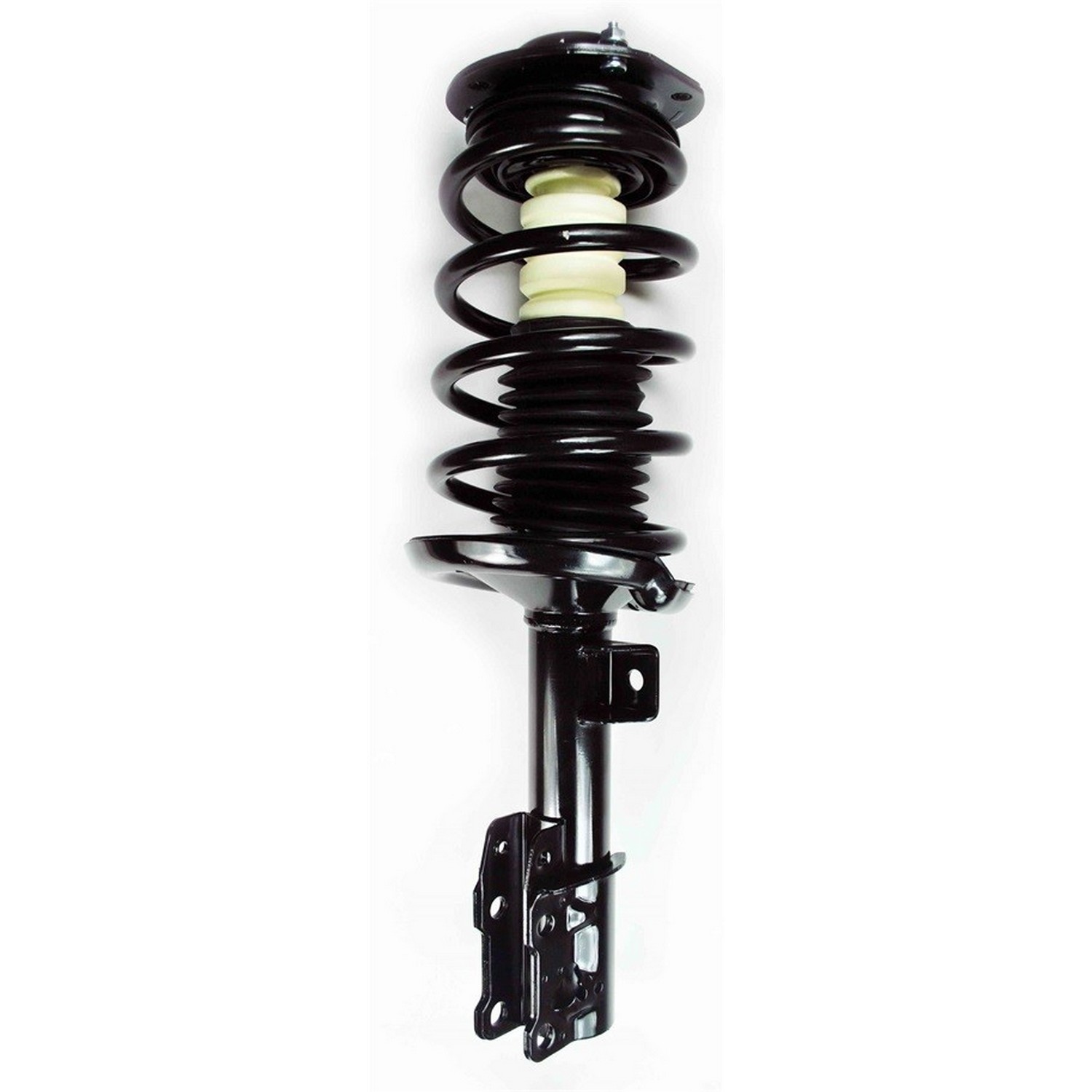 Suspension Strut and Coil Spring Assembly