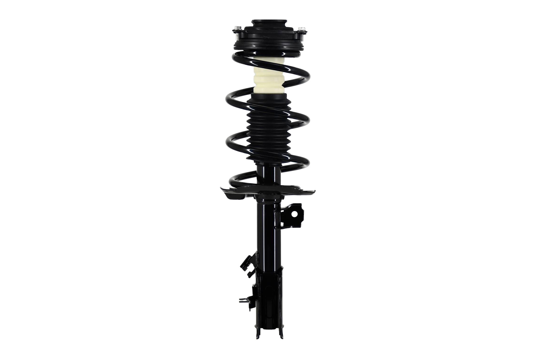 Suspension Strut and Coil Spring Assembly