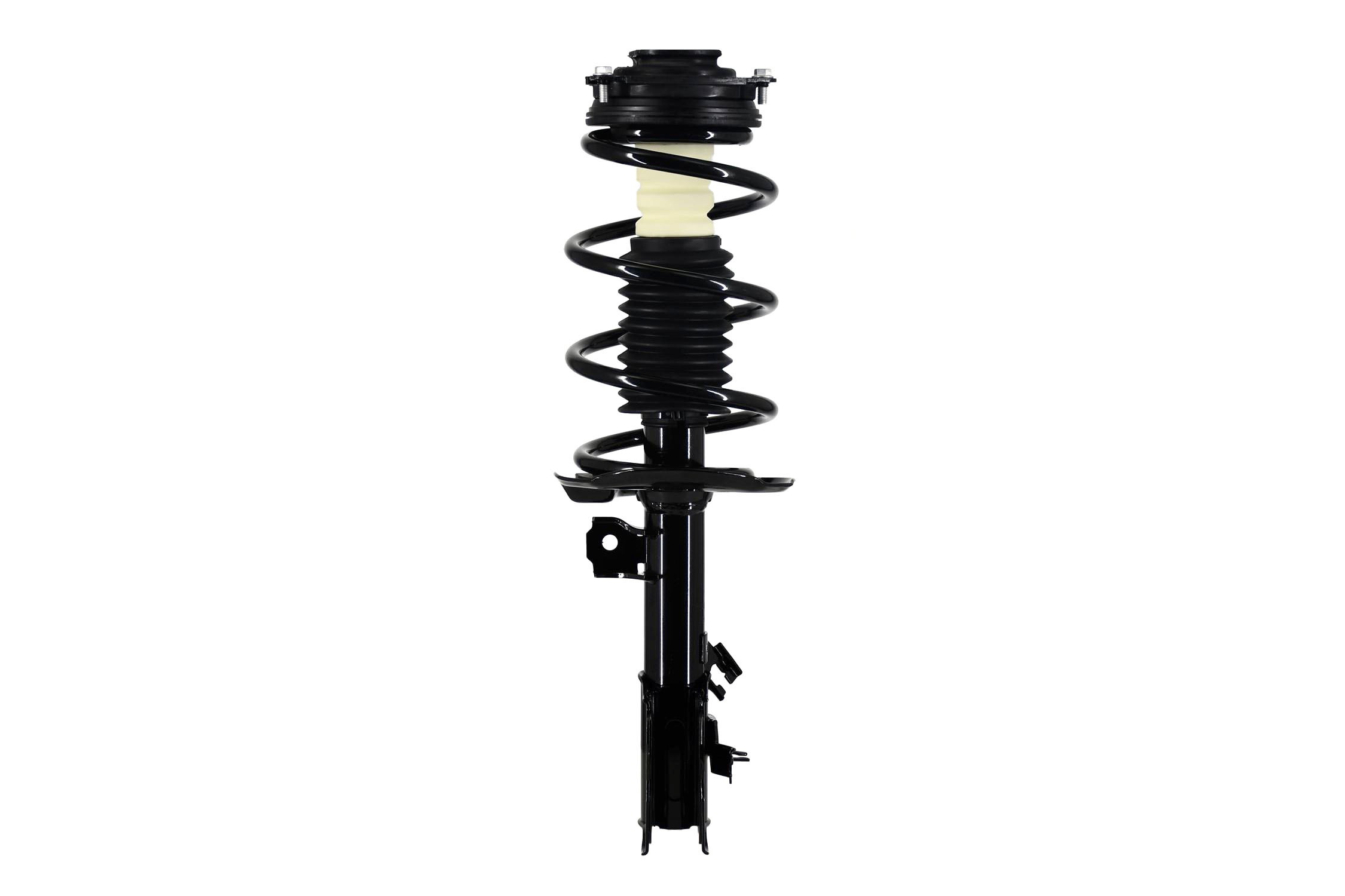 Suspension Strut and Coil Spring Assembly